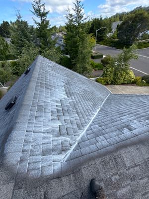 Project in Florence