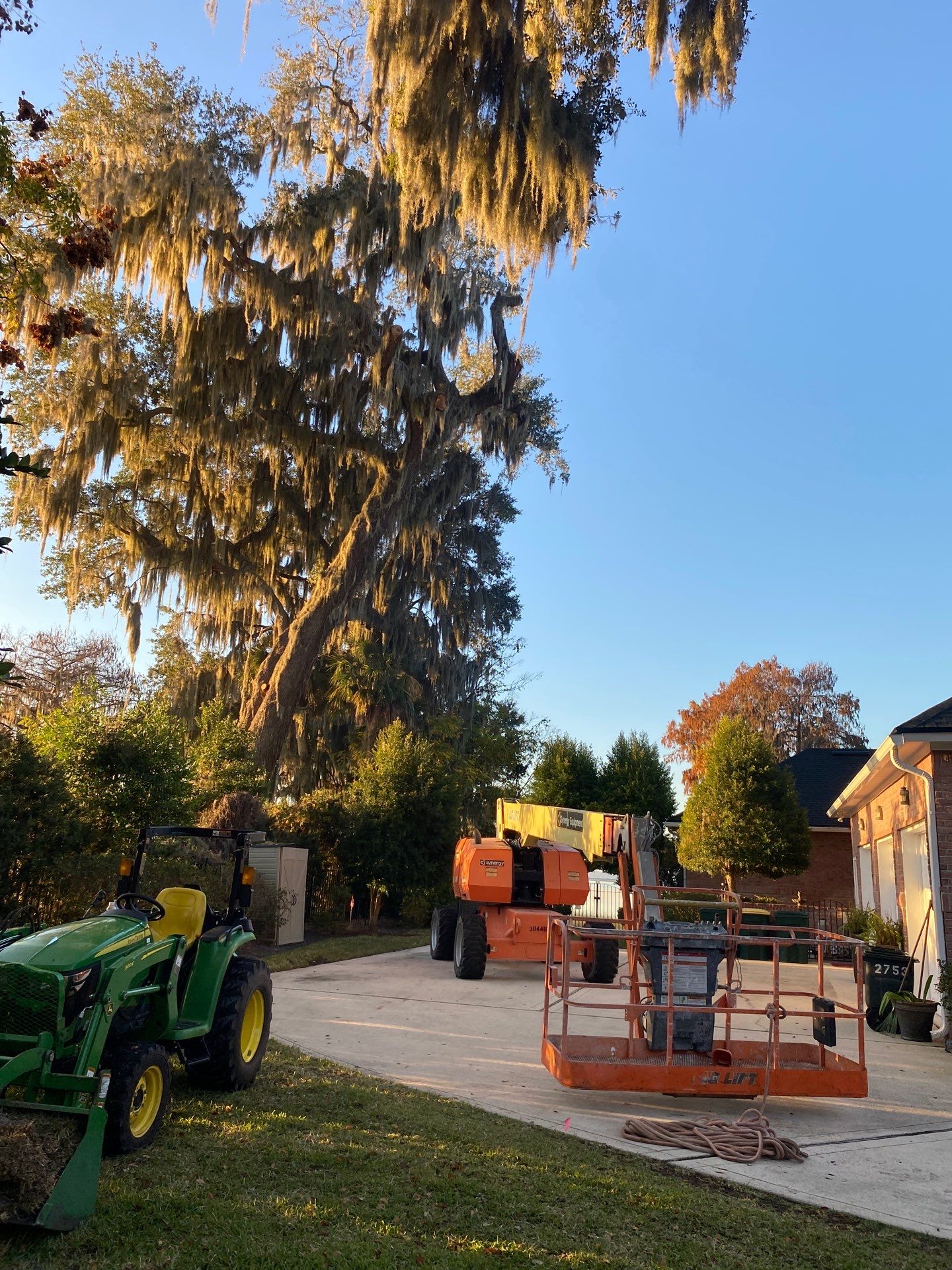 Residential | Tree Service by ProGreen Services