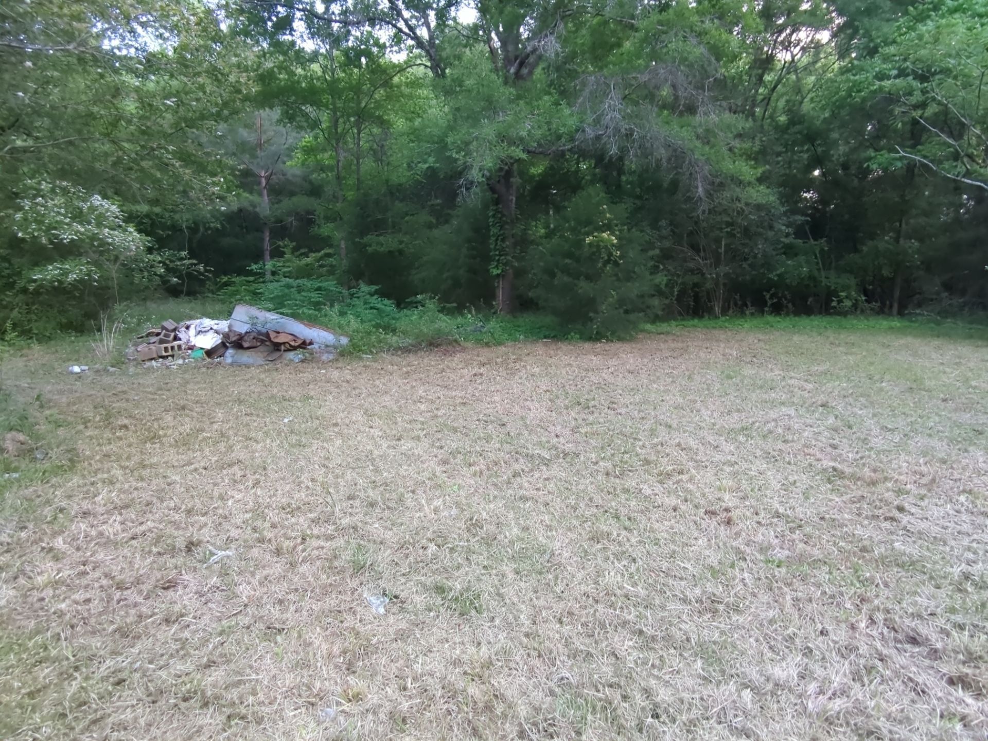 Exterior Clearing - tree trimming - grass cut by Swift Signings and Services LLC