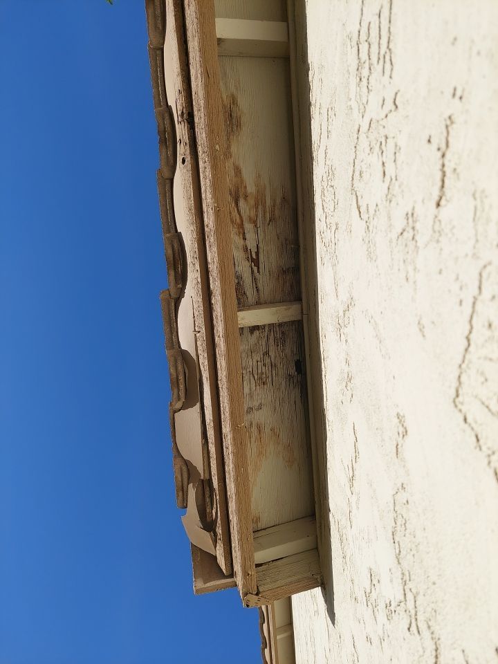 Exterior Painting - Gilbert by Crash of Rhinos Painting & Garage Floors