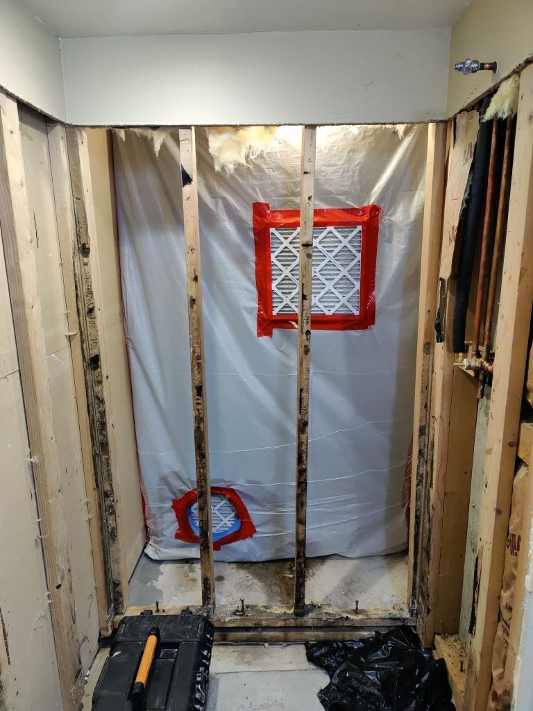 Mold Remediation by Accountable Home Services