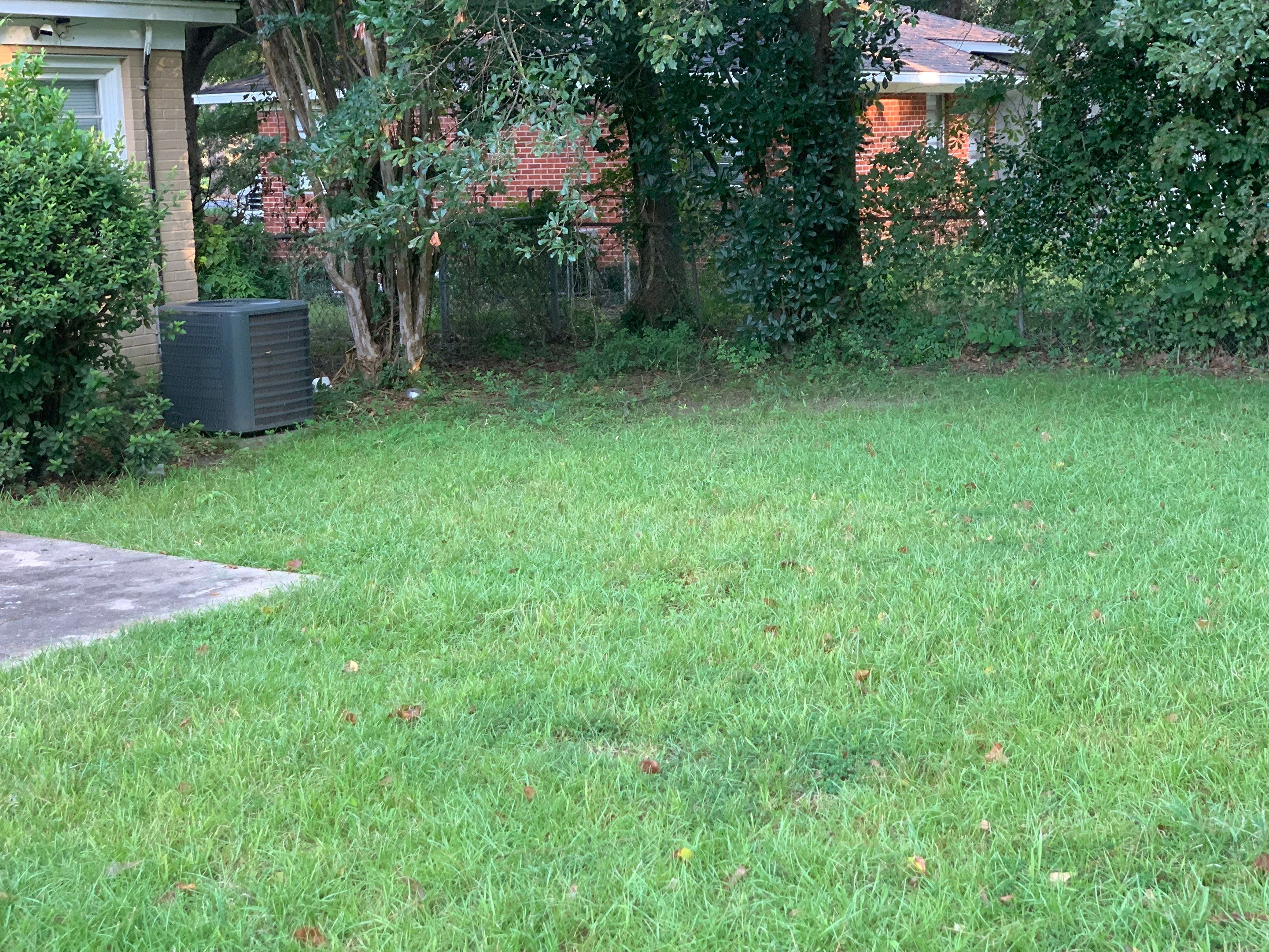 Yard Makeover by College Bros Outdoor services