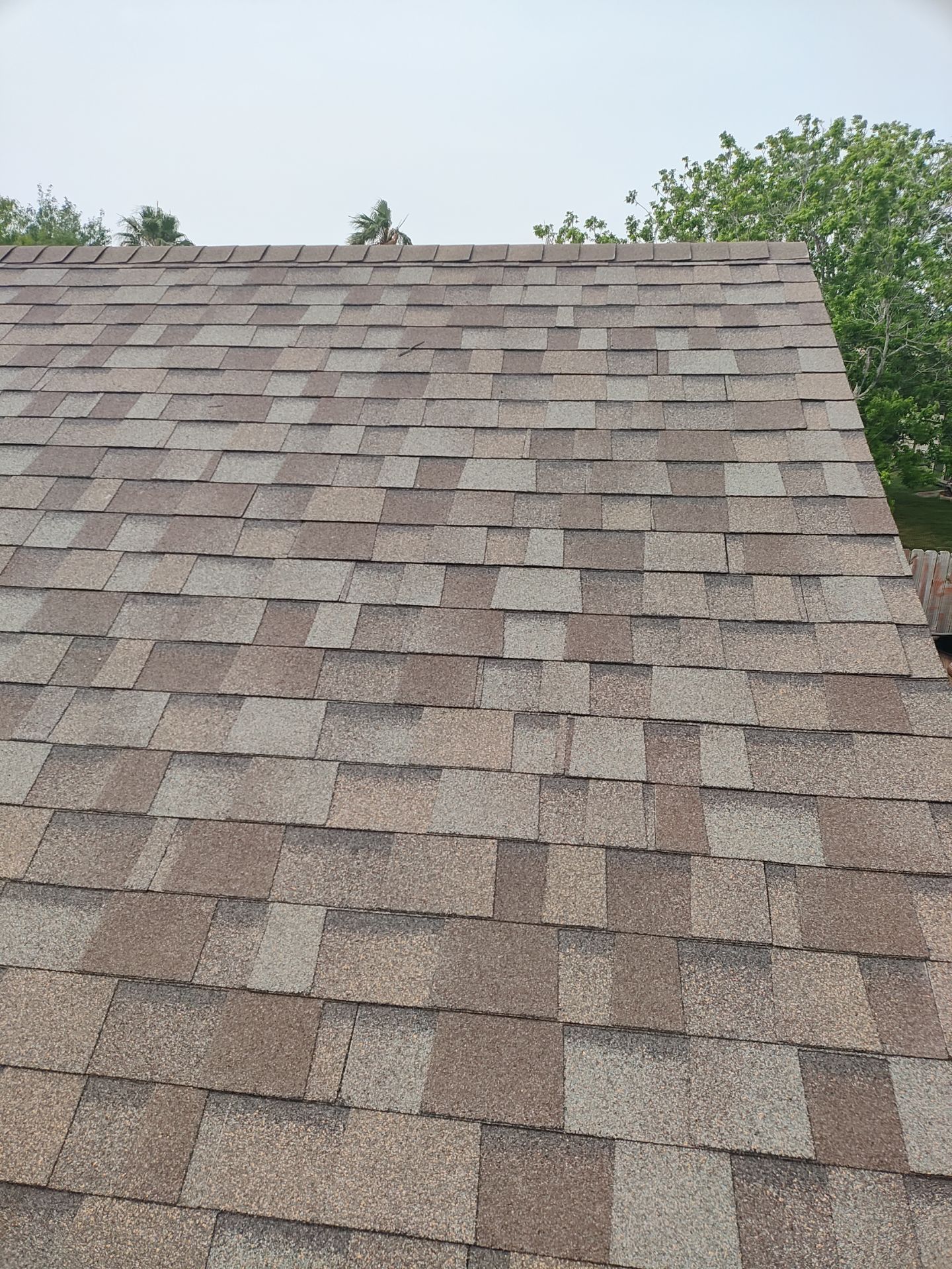 Patio Cathedral by Bayfront Roofing and Construction