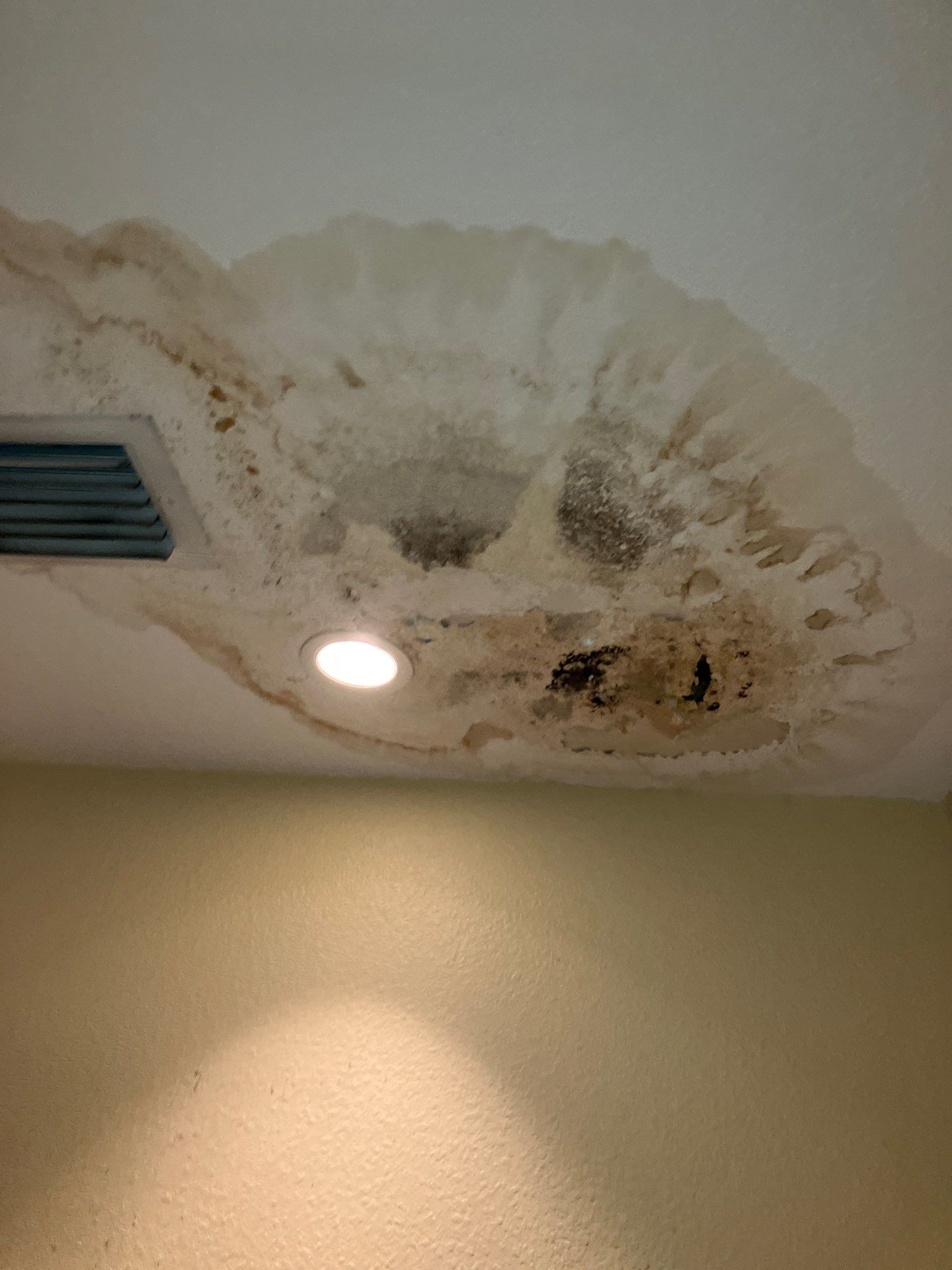 Home Mold Removal by Ampm Restoration Services