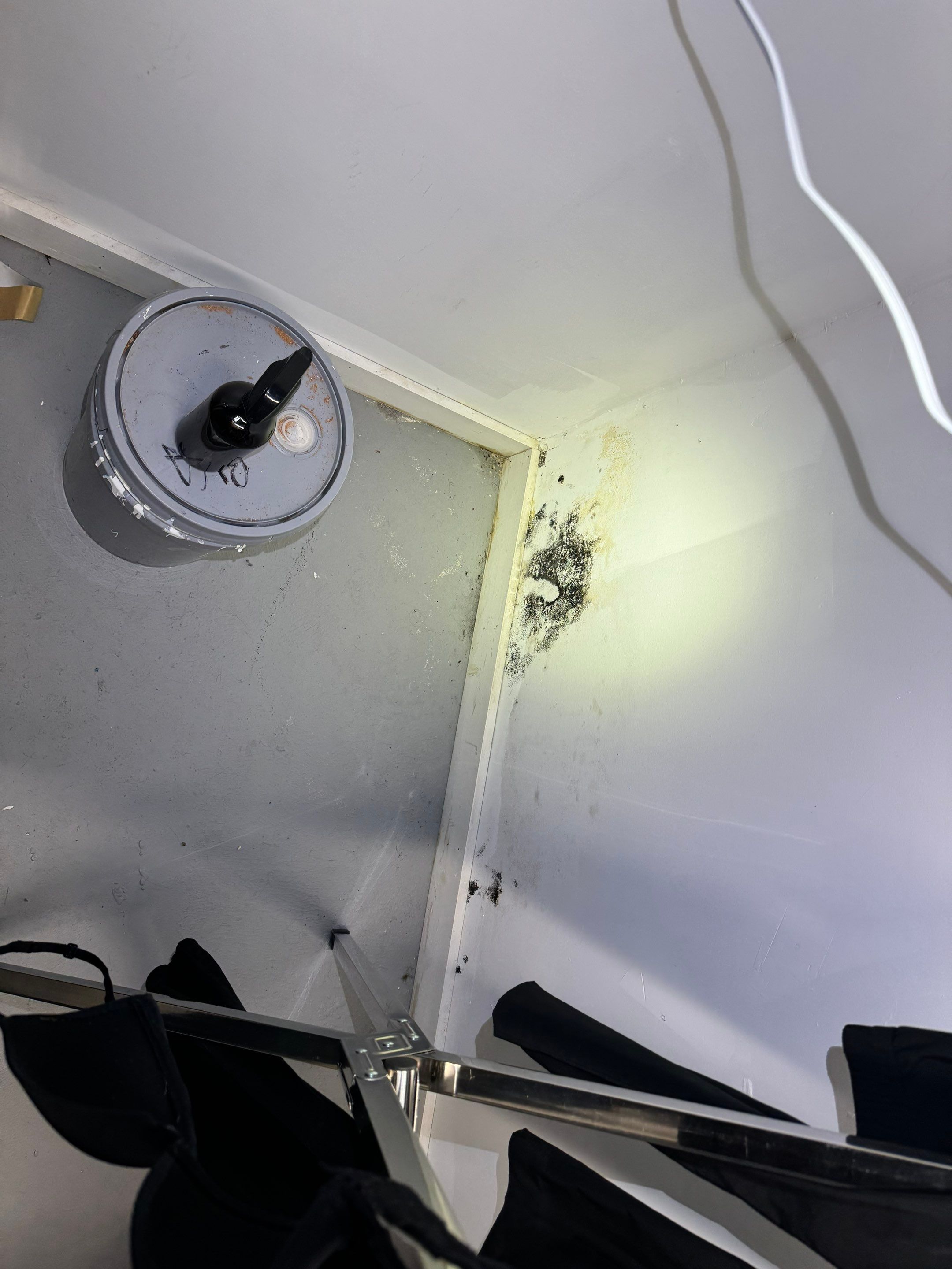 Bedroom Mold Remediation by Home Guarantee, LLC