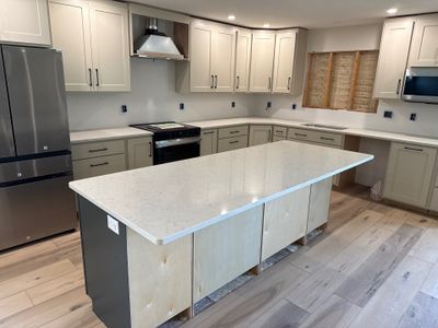 Project in Burt