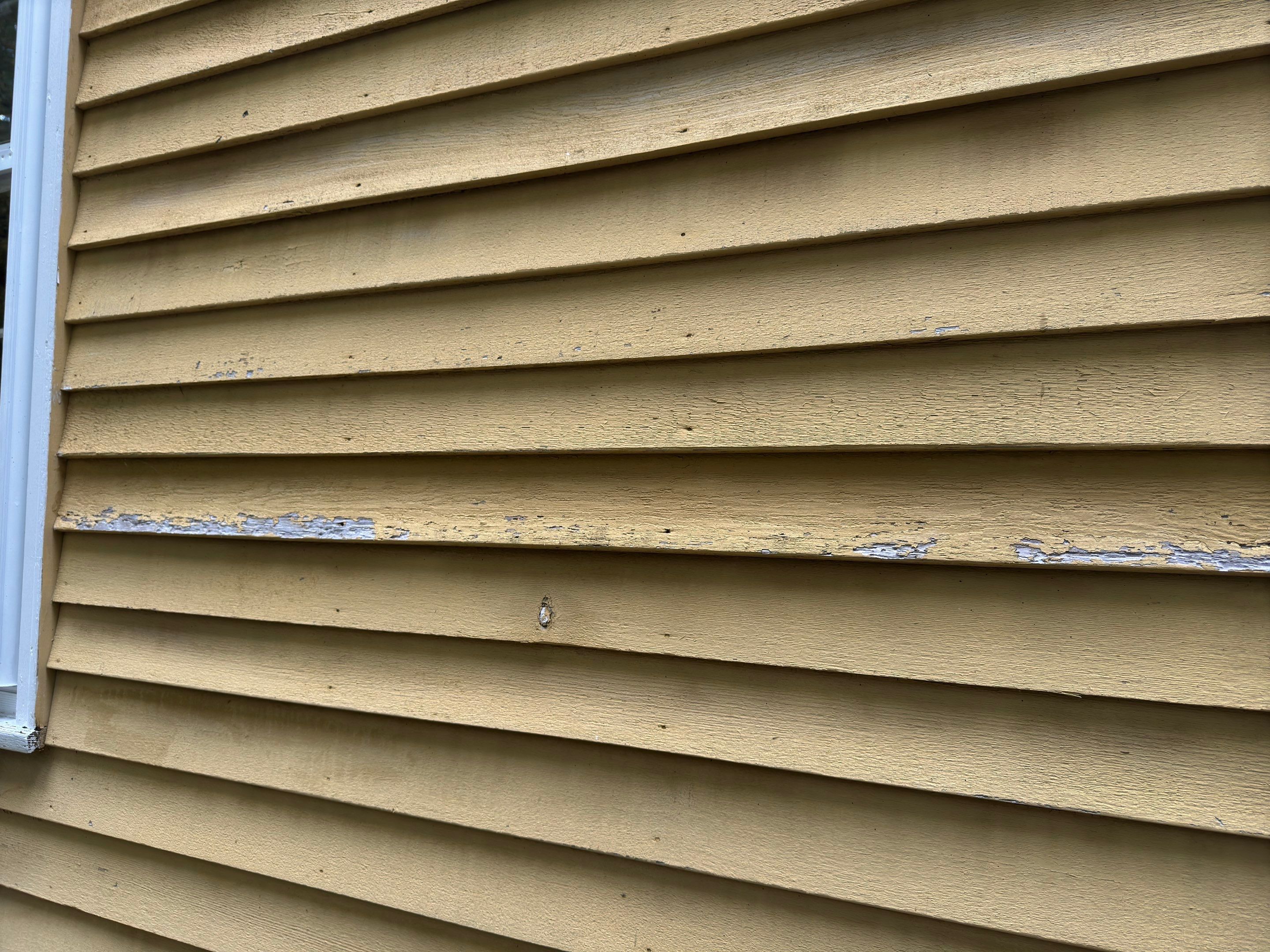 Exterior Staining by Trendy Walls Inc.
