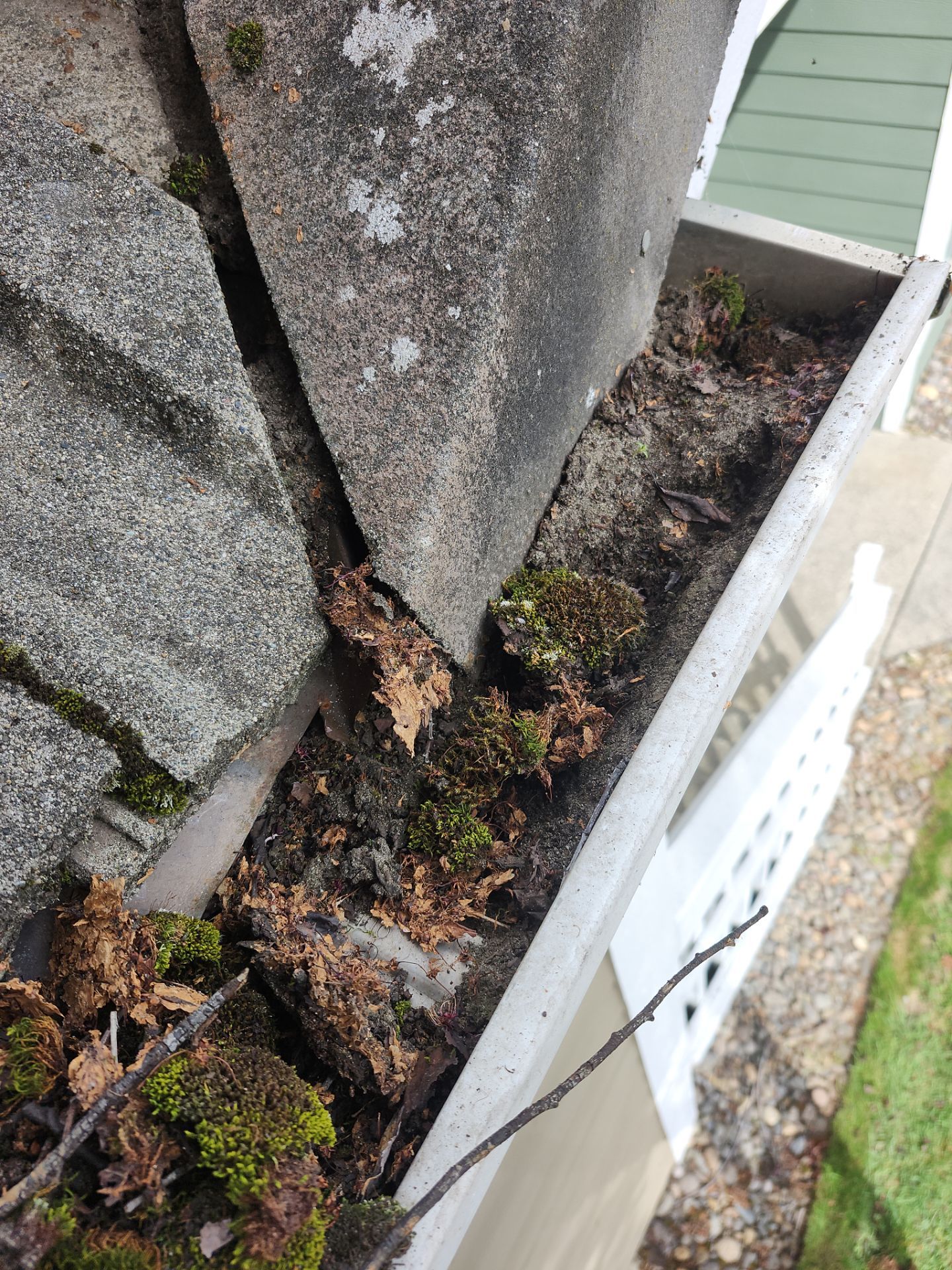 HOA gutter cleaning before photo