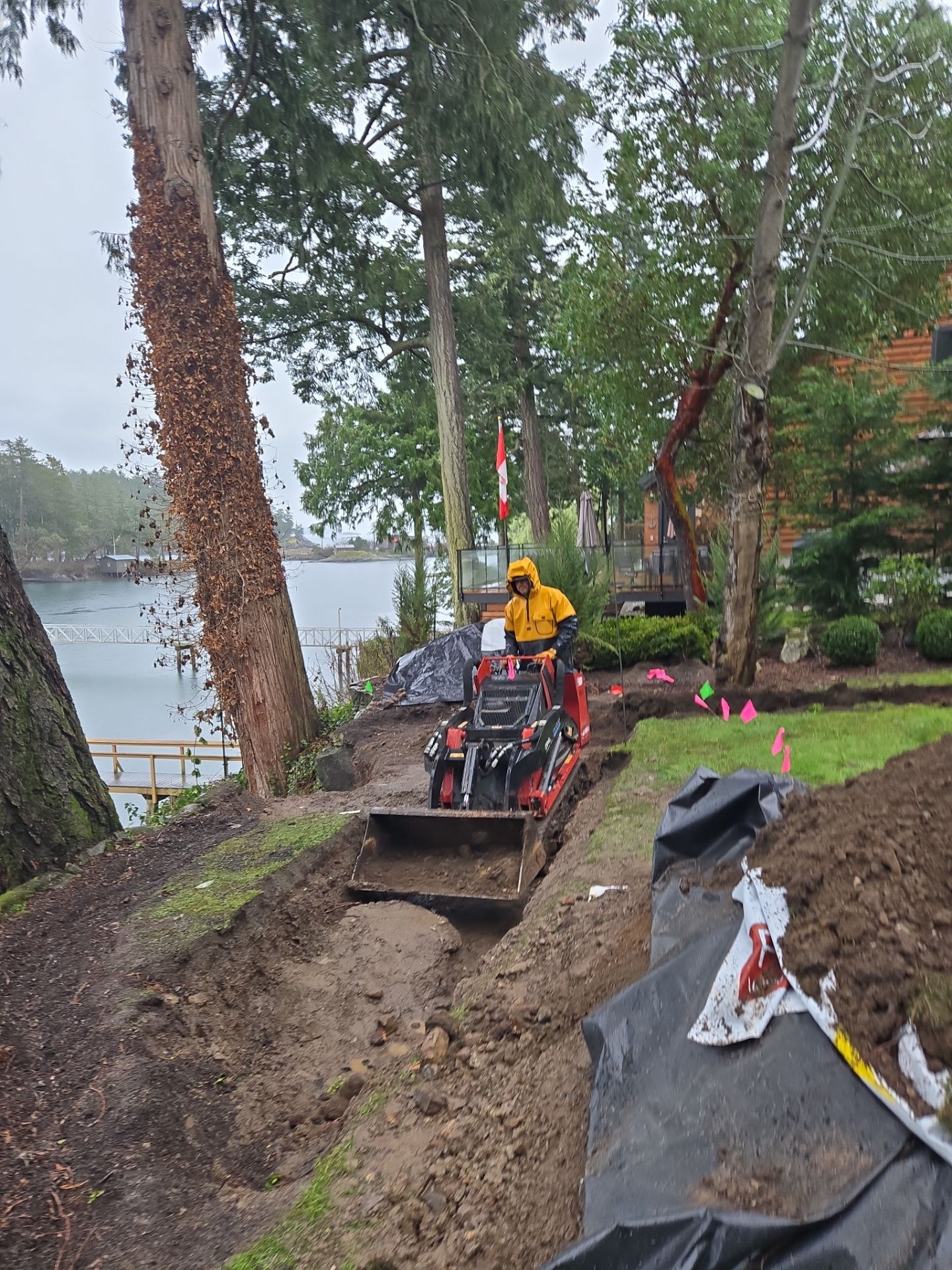 Coastal Landscape Restoration & Retaining Structure - In progress by Habanero Garden and Exterior Care