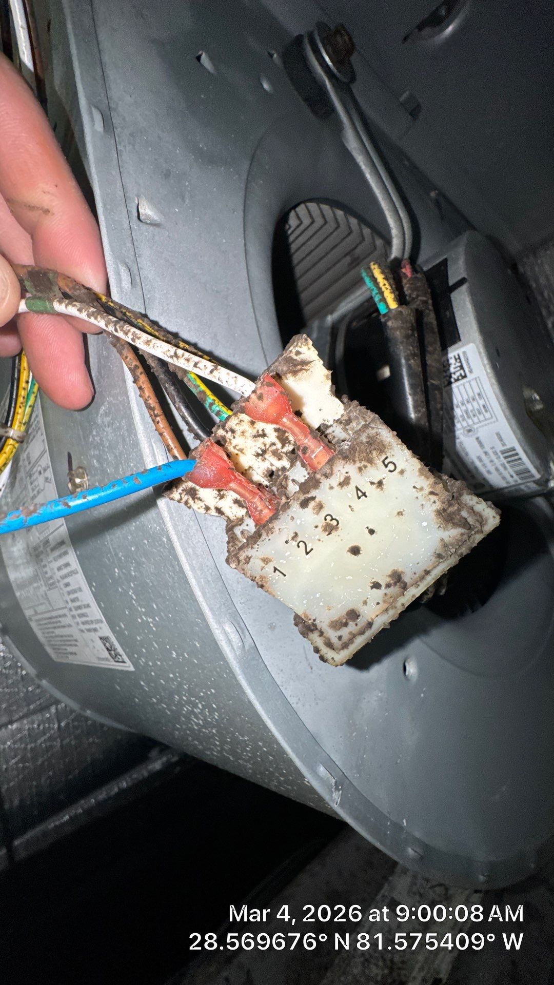 Air Duct Cleaning in Winter Garden by Hygienic Air, Inc
