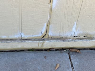 Mold Damage Restoration