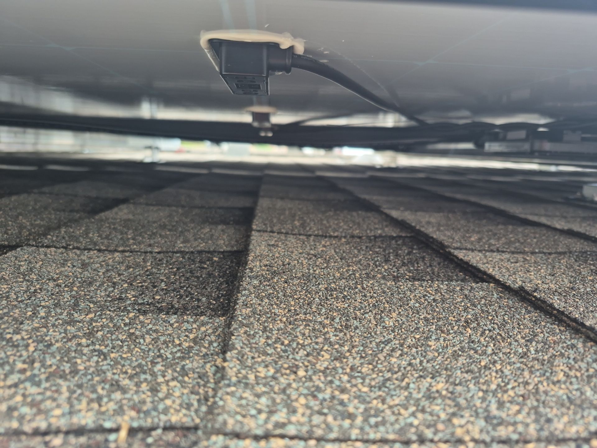 Joyce in Glenn Heights by Trojan Solar