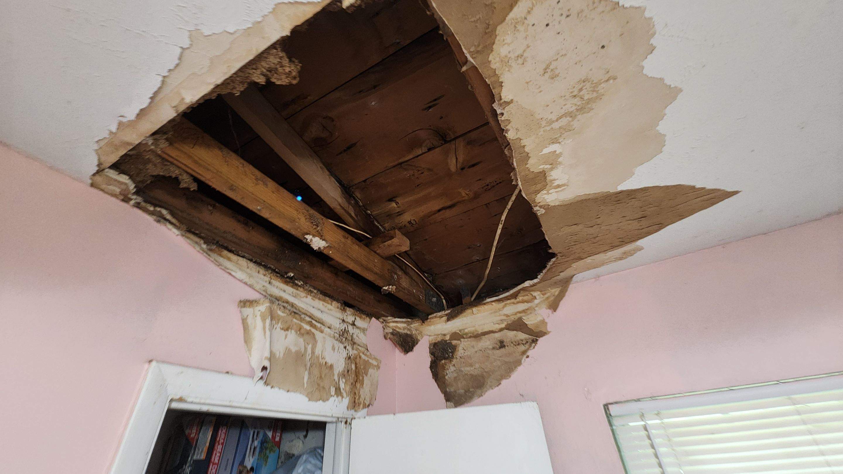 Tree Damage Claim in Orlando by FLAPA & KeyStone