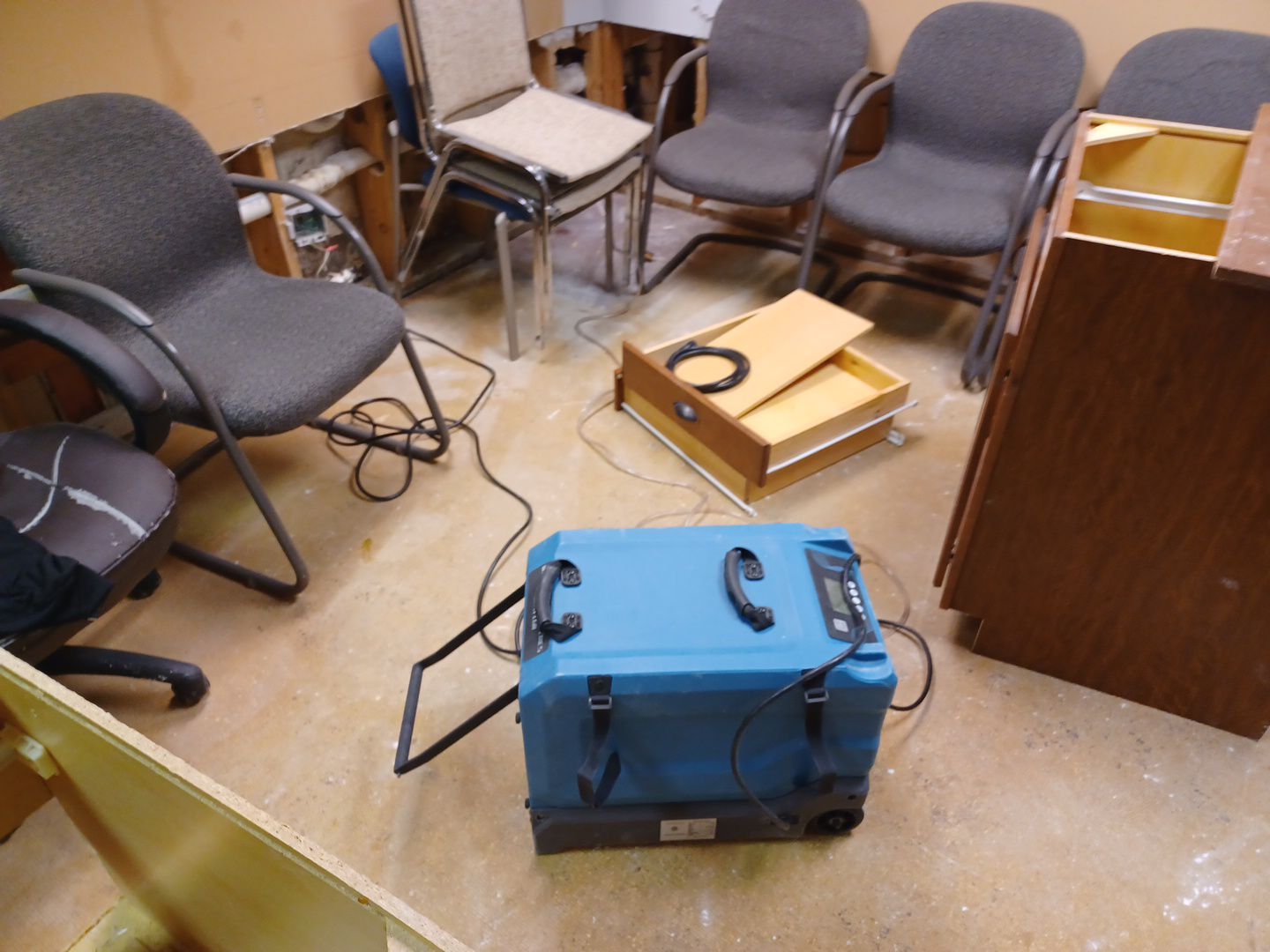 Project in Commerce Twp by EzDry Water Mitigation & Property Restoration