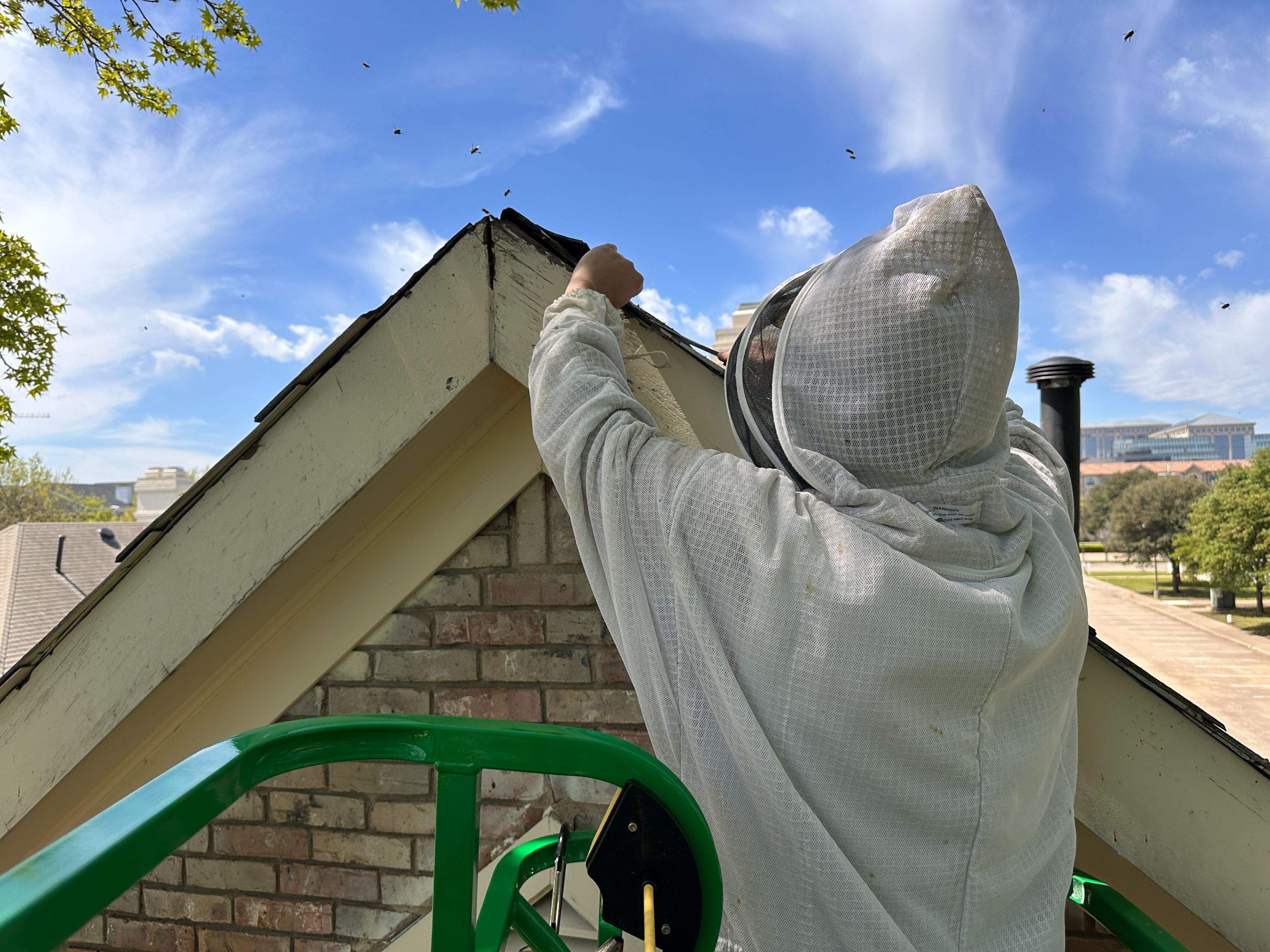 Commercial Roof by Rockwall Honey Bee Company