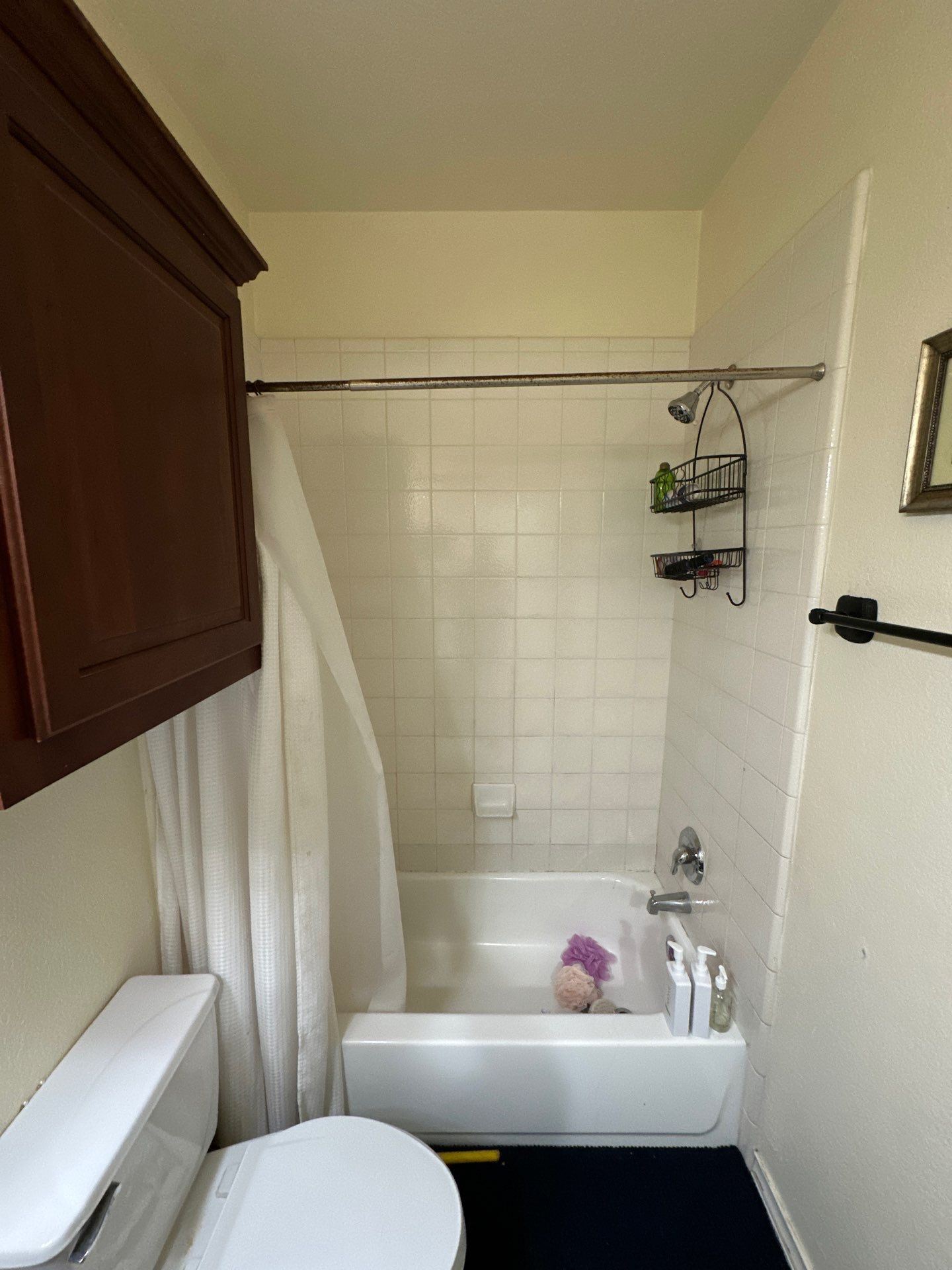 Tub to Shower Conversion in Austin, 78748 by Lane Lauritsen - The Hill Country, Texas