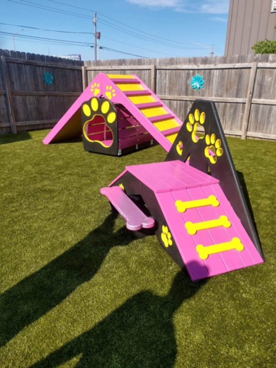 Paws N Claws by ForeverLawn NEIN/INDY