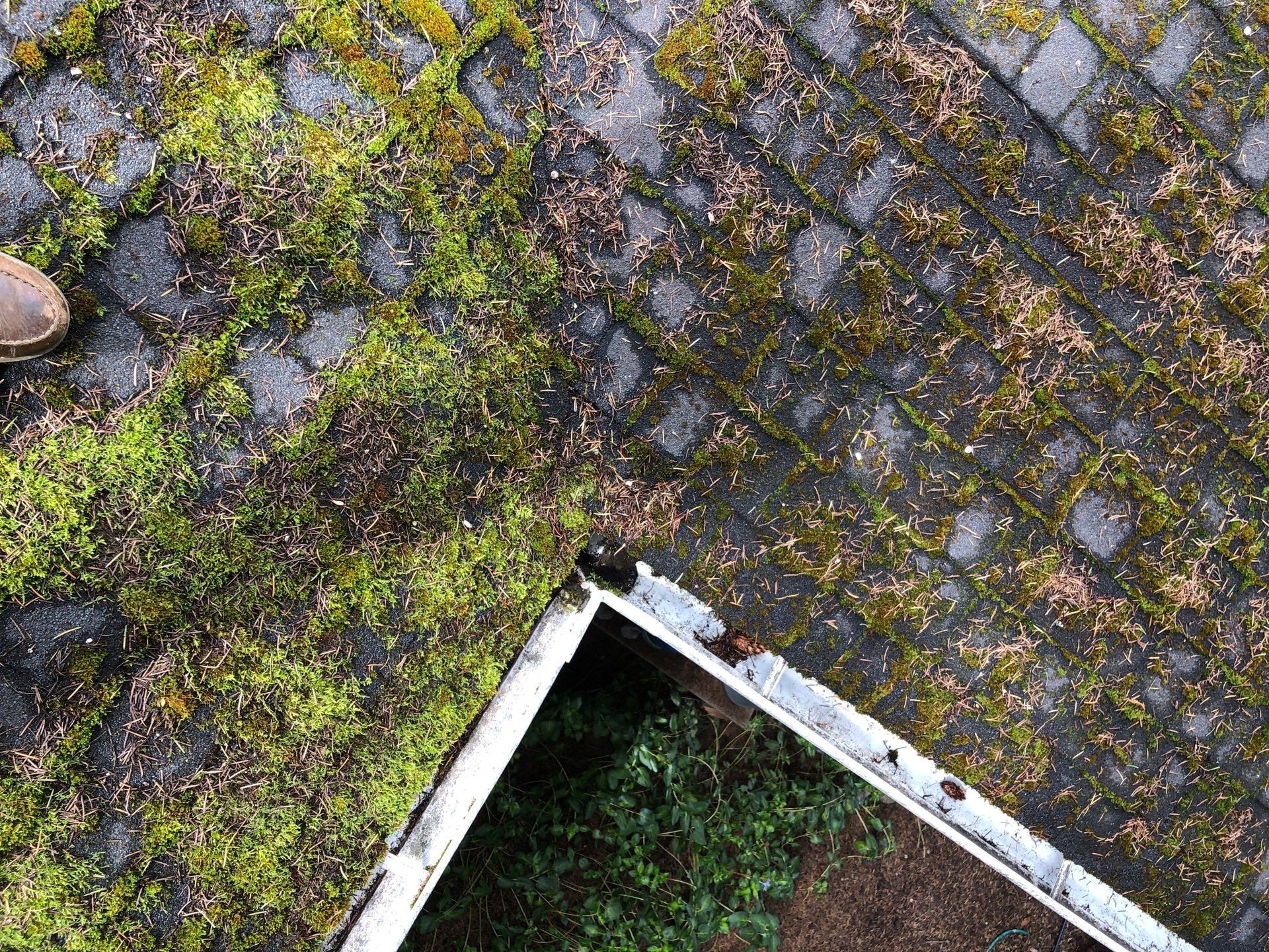 Project in Seattle by Peaks and Valleys Construction