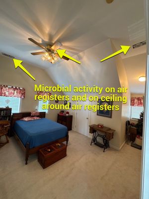Duct Cleaning and Mold Remediation