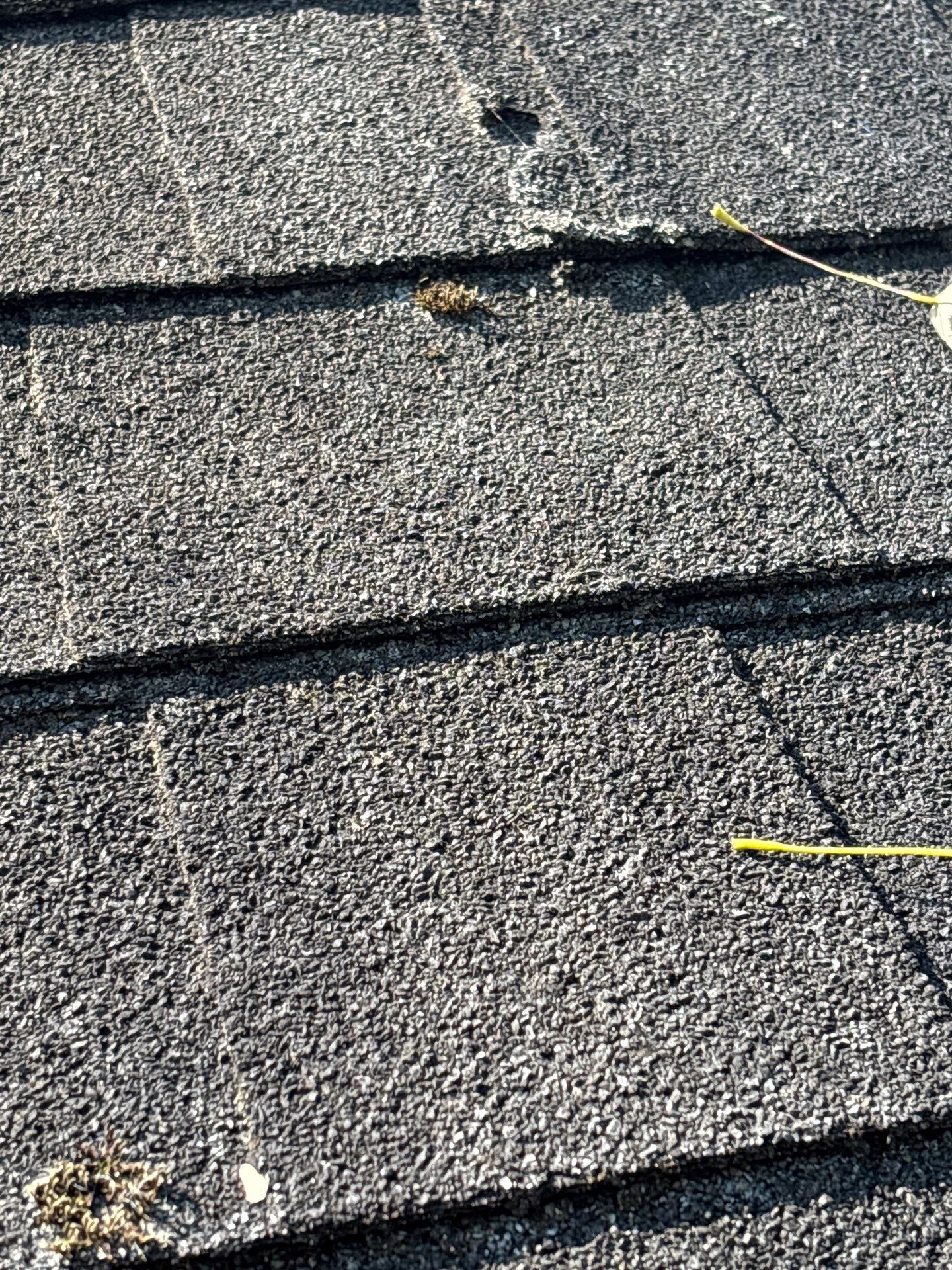 Project in Richmond by Roof Maxx of Midlothian