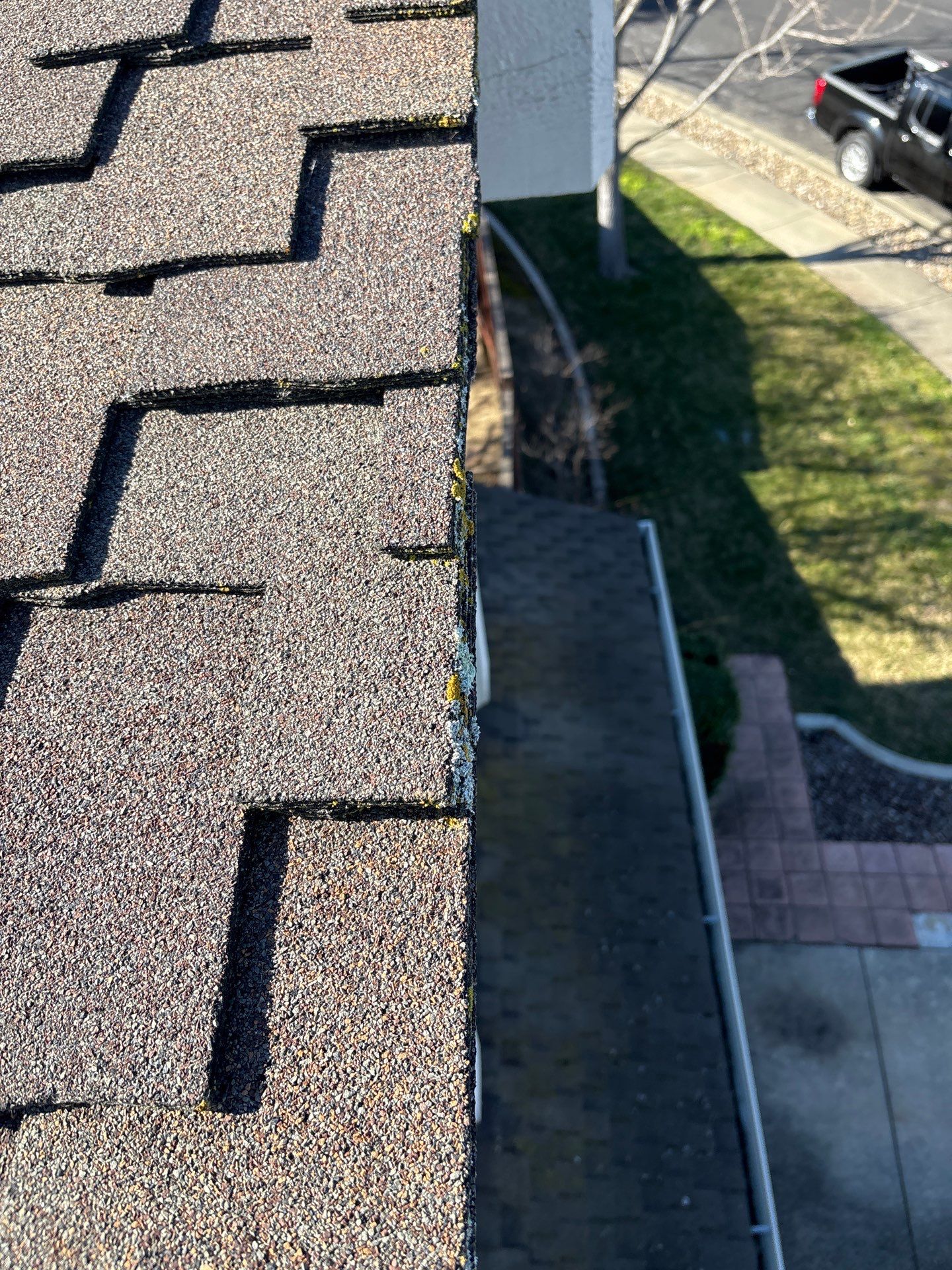 Moss Removal by Top Elevation
