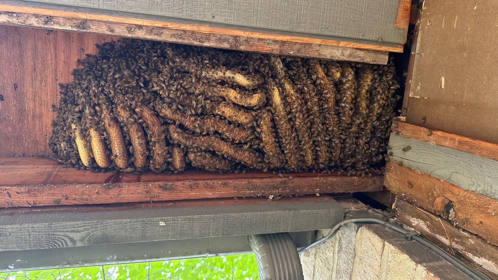 Love this house! by Rockwall Honey Bee Company