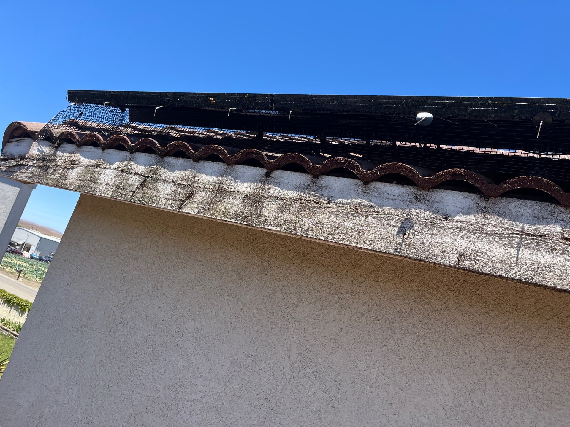 Project in Hollister, CA by All One Solar Shine