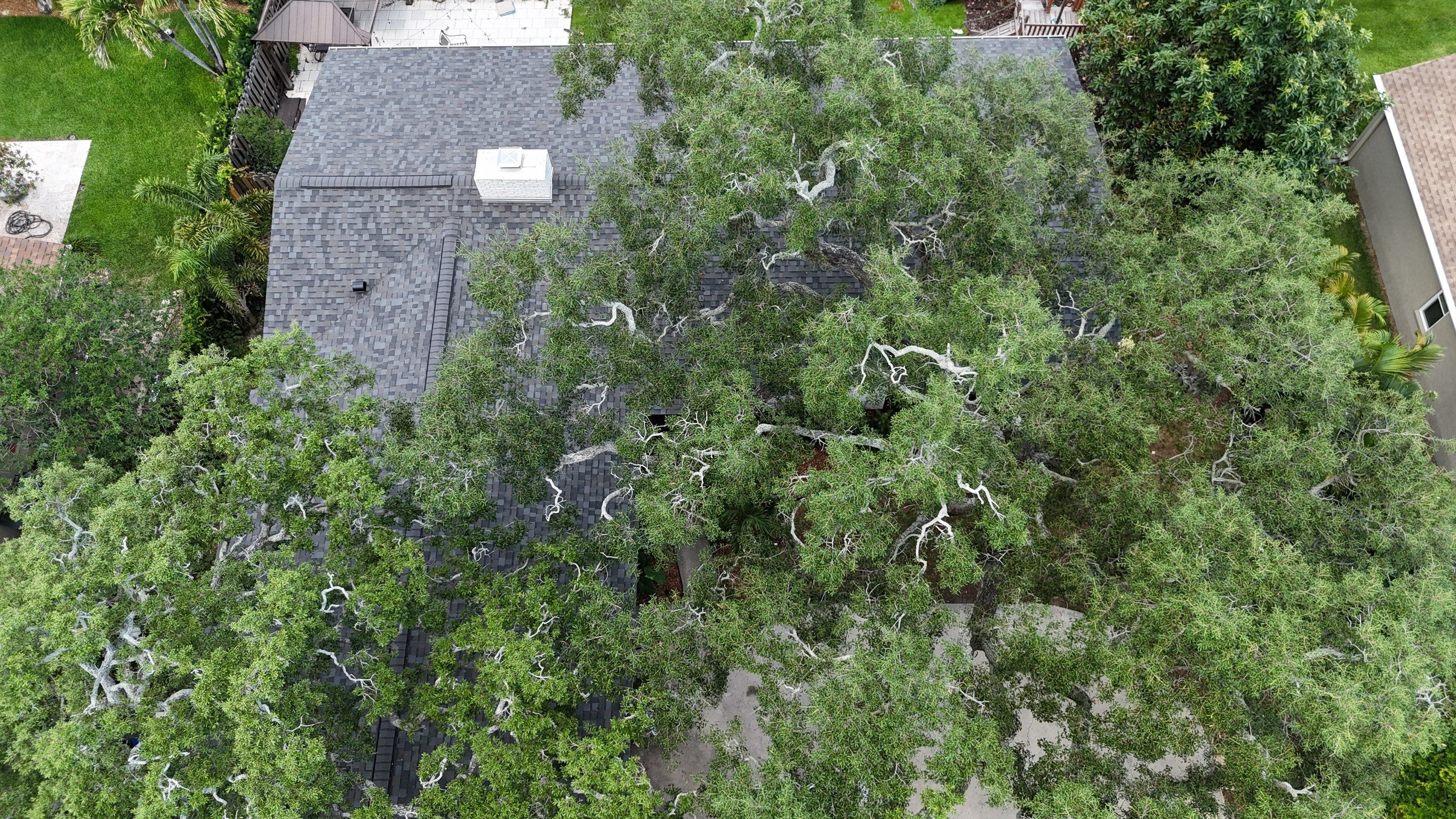 Roof Replacement in Dunedin, FL by Steadfast Roofing 