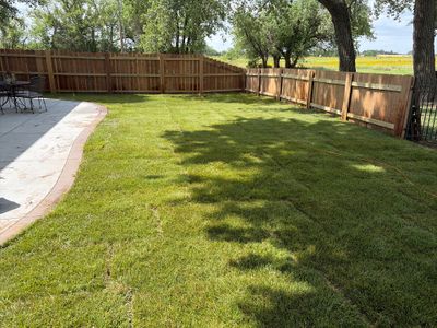 Fresh Sod Installation in Wichita