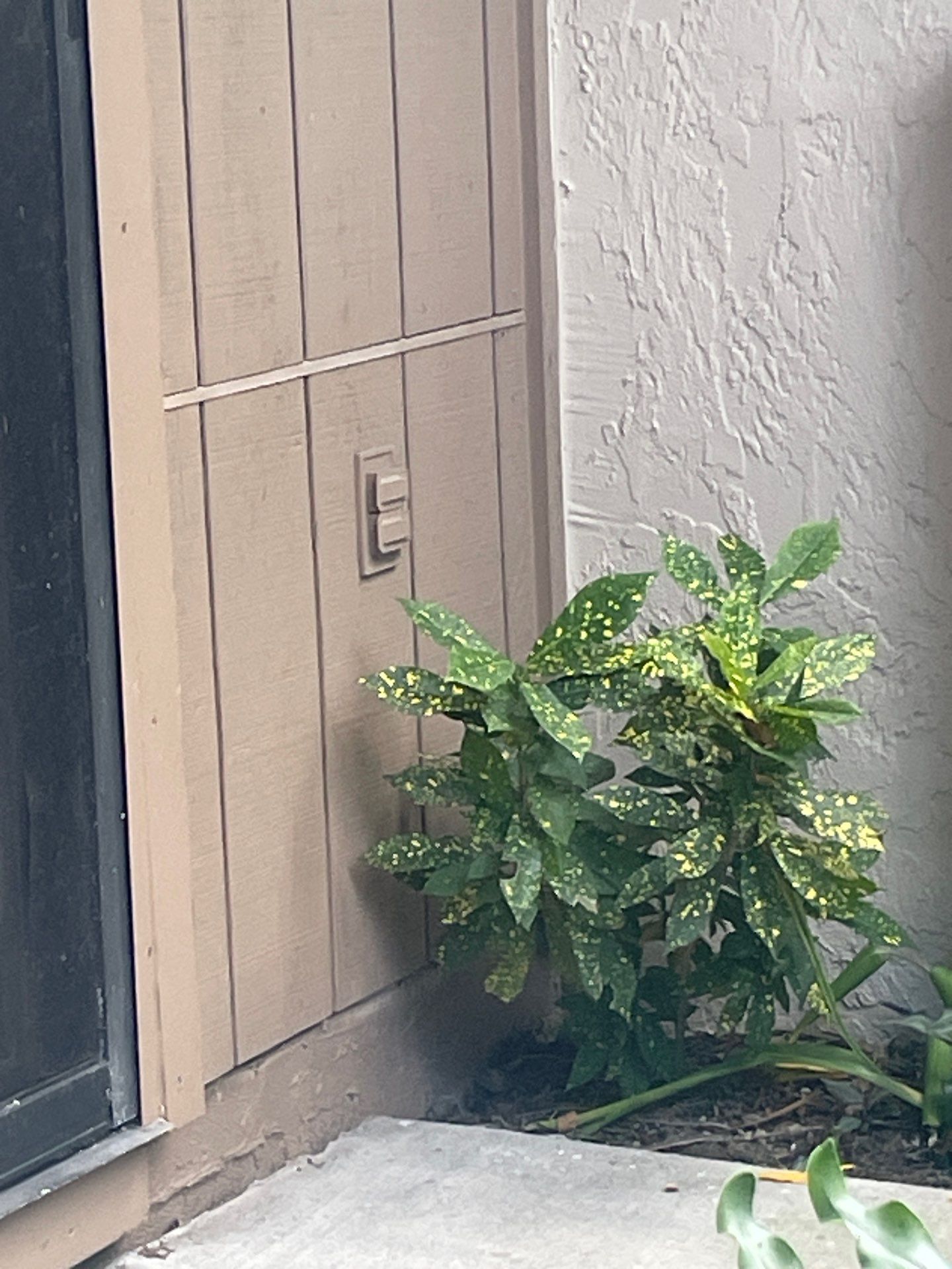 Clean Gutters and Roof in Sarasota FL by Gutter Professors