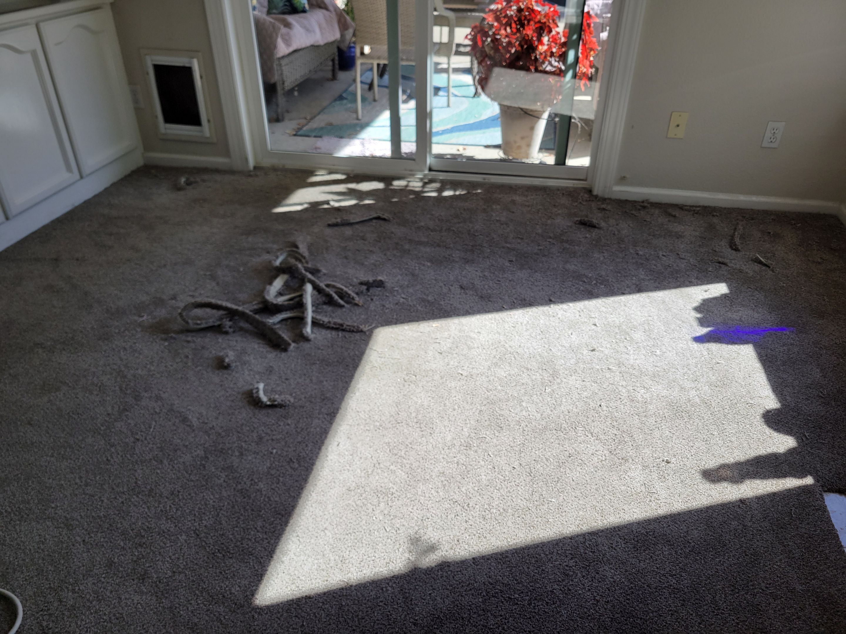 Fair Oaks Carpet Re-stretch & Cleaning by Ardent Carpet Restore LLC