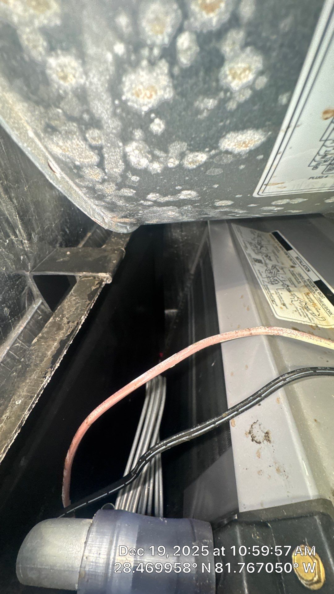 Air Duct Cleaning in Clermont by Hygienic Air, Inc
