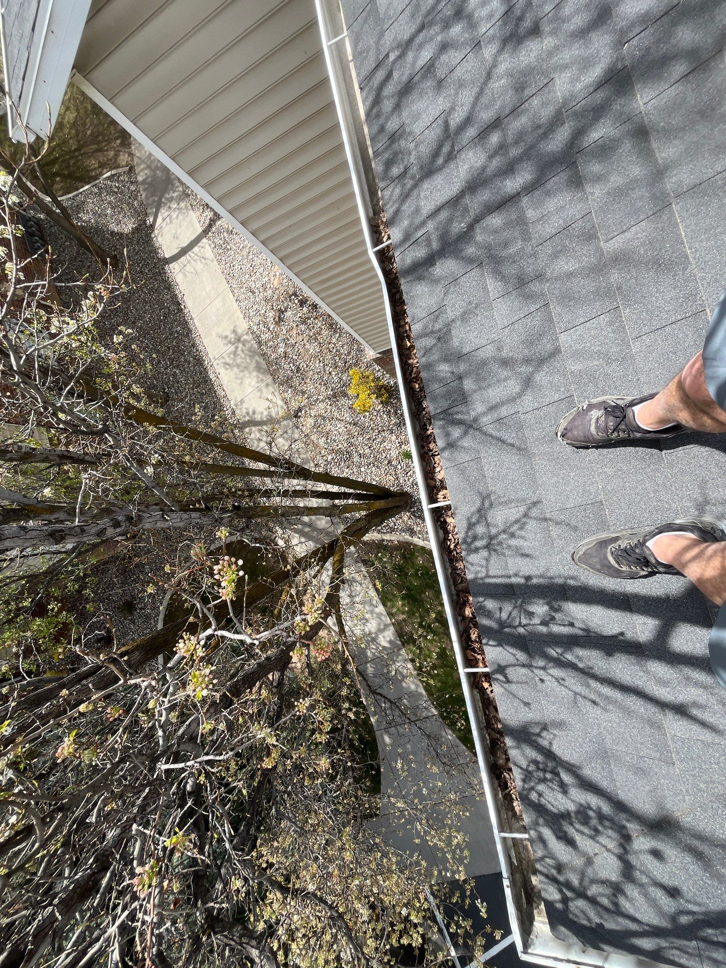 HOA gutter cleaning in Logan, UT before photo showing full gutters