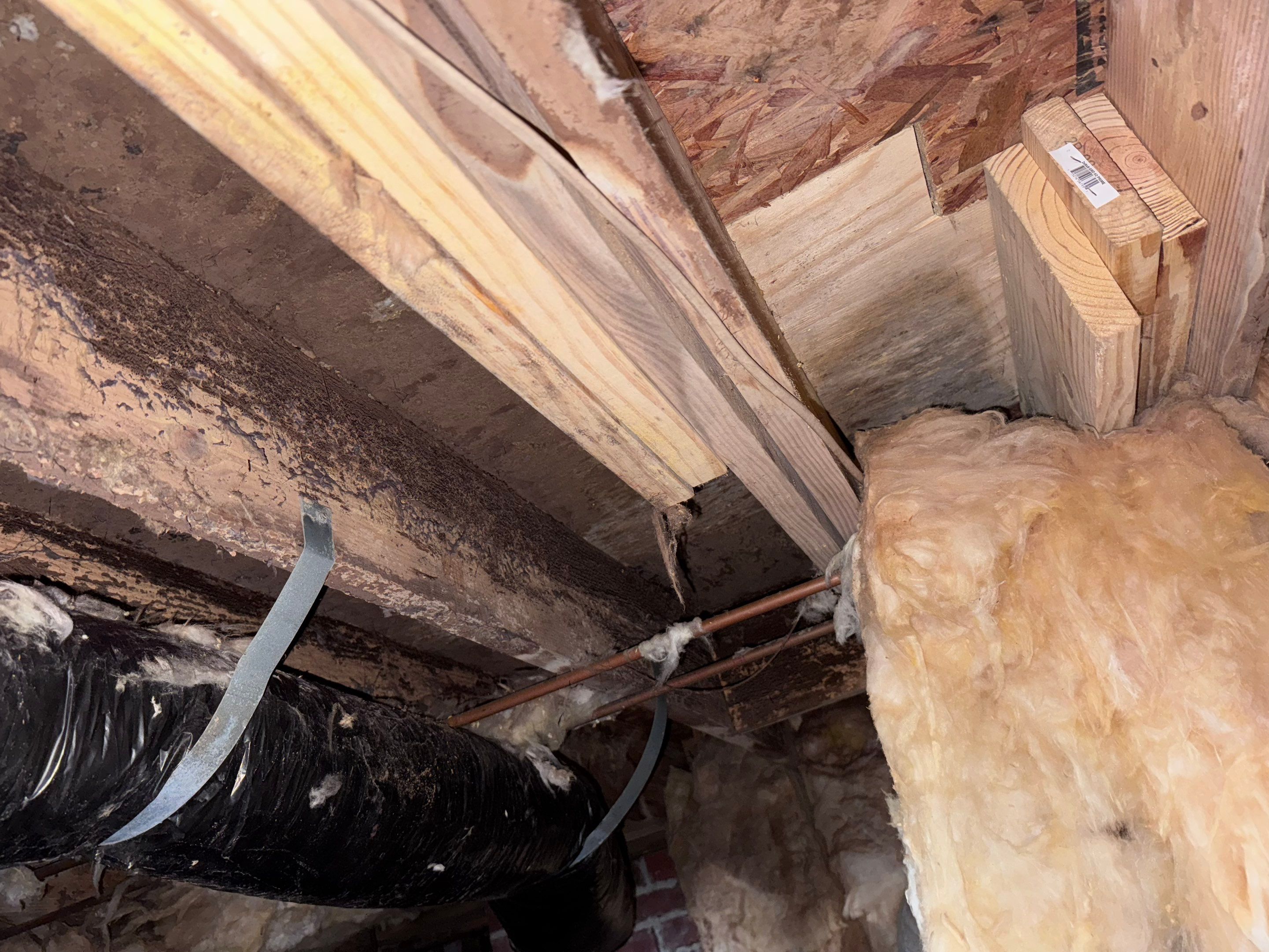 Structural Repairs inludiing sub-floor removal, new floor joists installed, girder replacmeent and dropped girder installed. by Impact Crawlspace