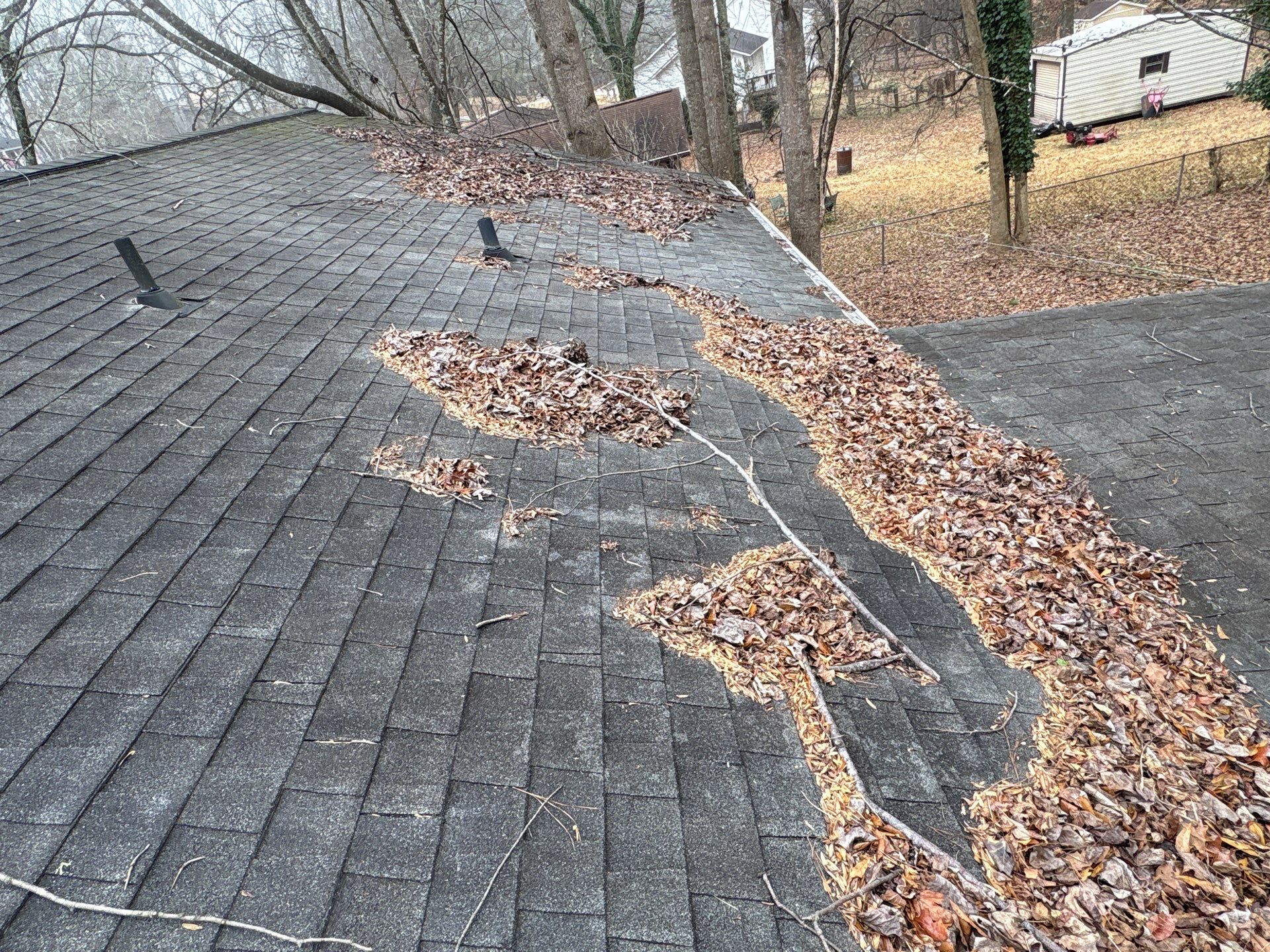 Clean Roof, Strong Home 🍂 by Georgia Roof Advisors