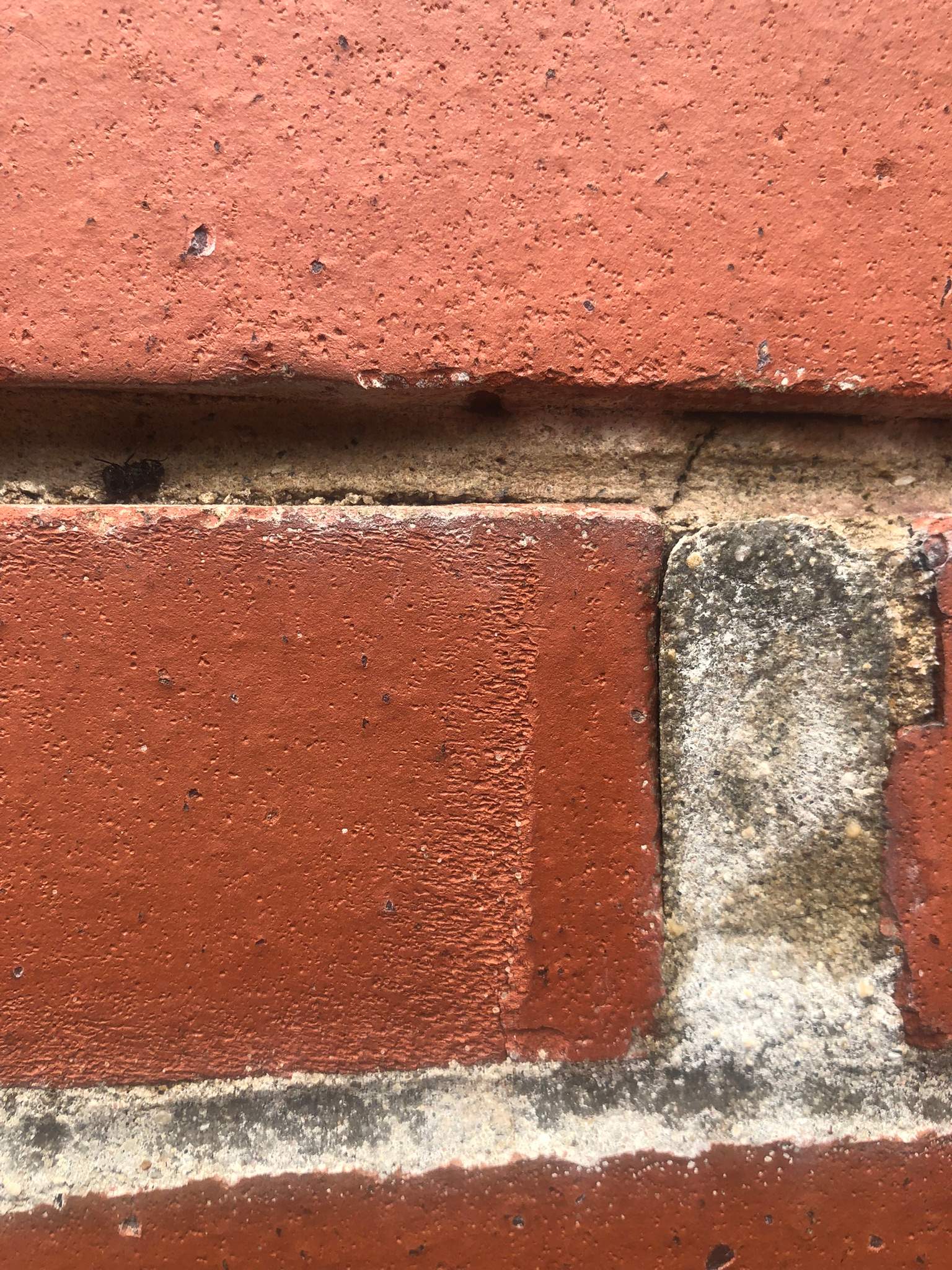 Complete Chimney Tear Down & Rebuild by Leonard and Sons Building Services, Inc. 