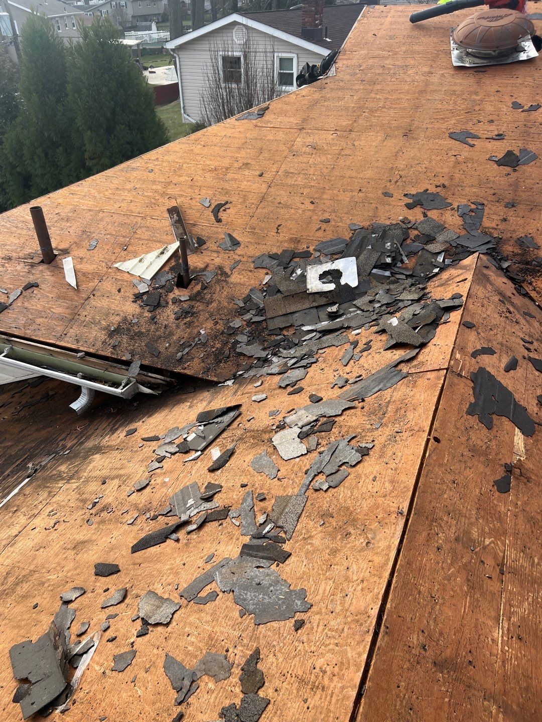Onyx Black Shingles by Reimagine Roofing