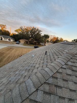 Shingle Roof Replacement Port Orange