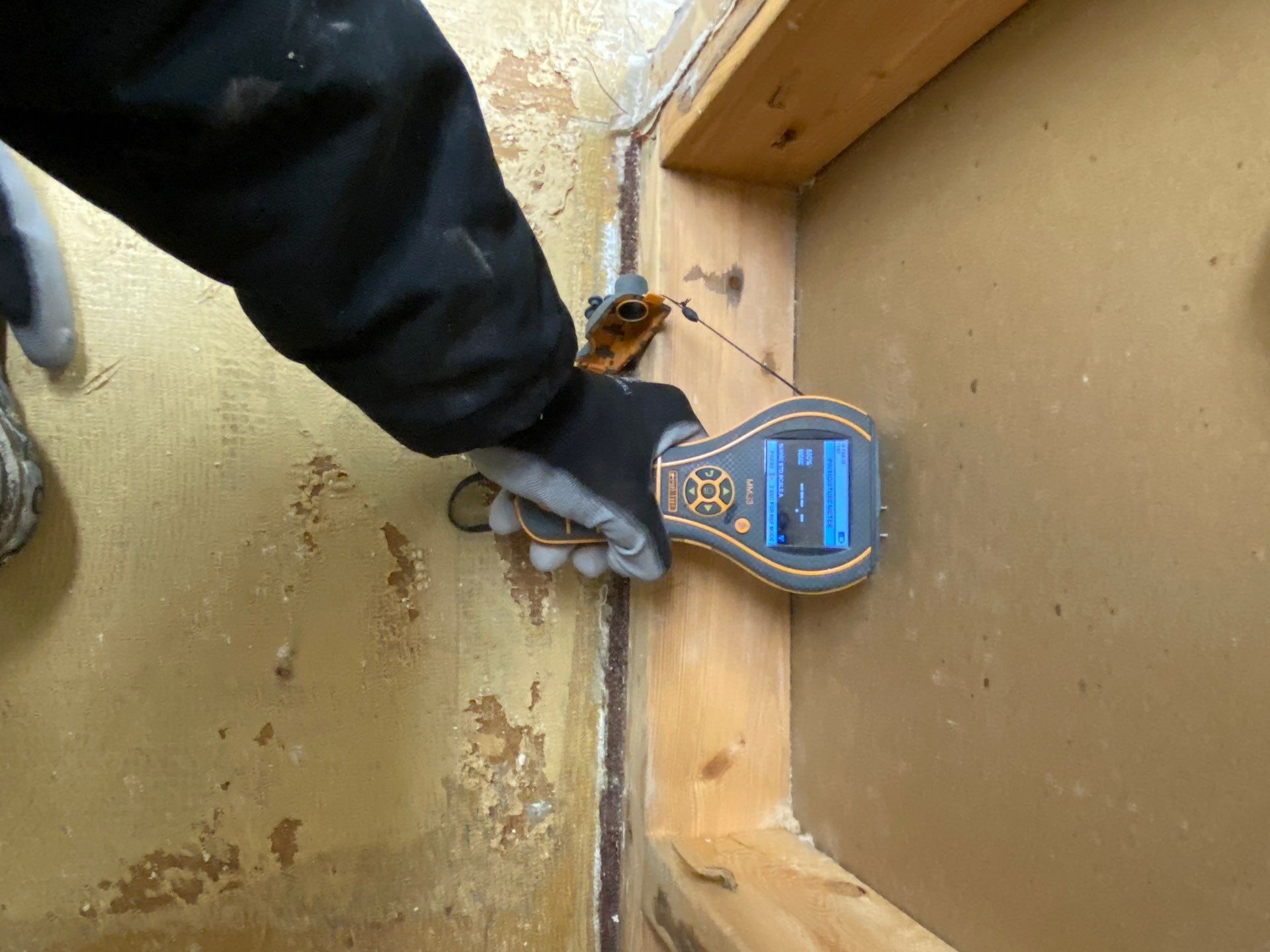 Project in Commerce Twp by EzDry Water Mitigation & Property Restoration