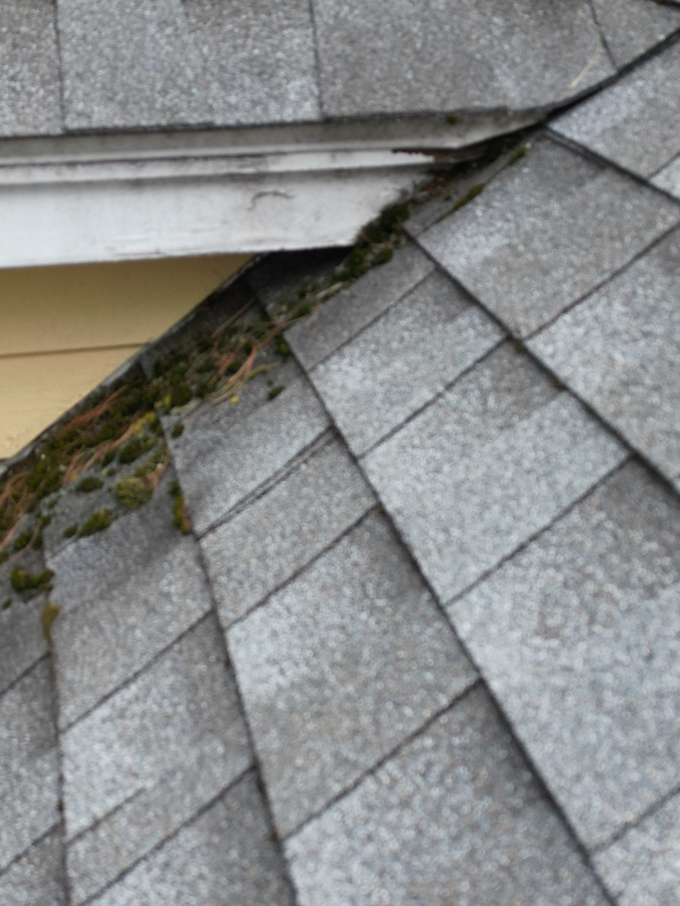 Siding | Dunstable by Mighty Dog Roofing of Greater Middlesex County