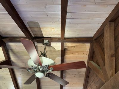 Attic & Sunroom Mold Remediation