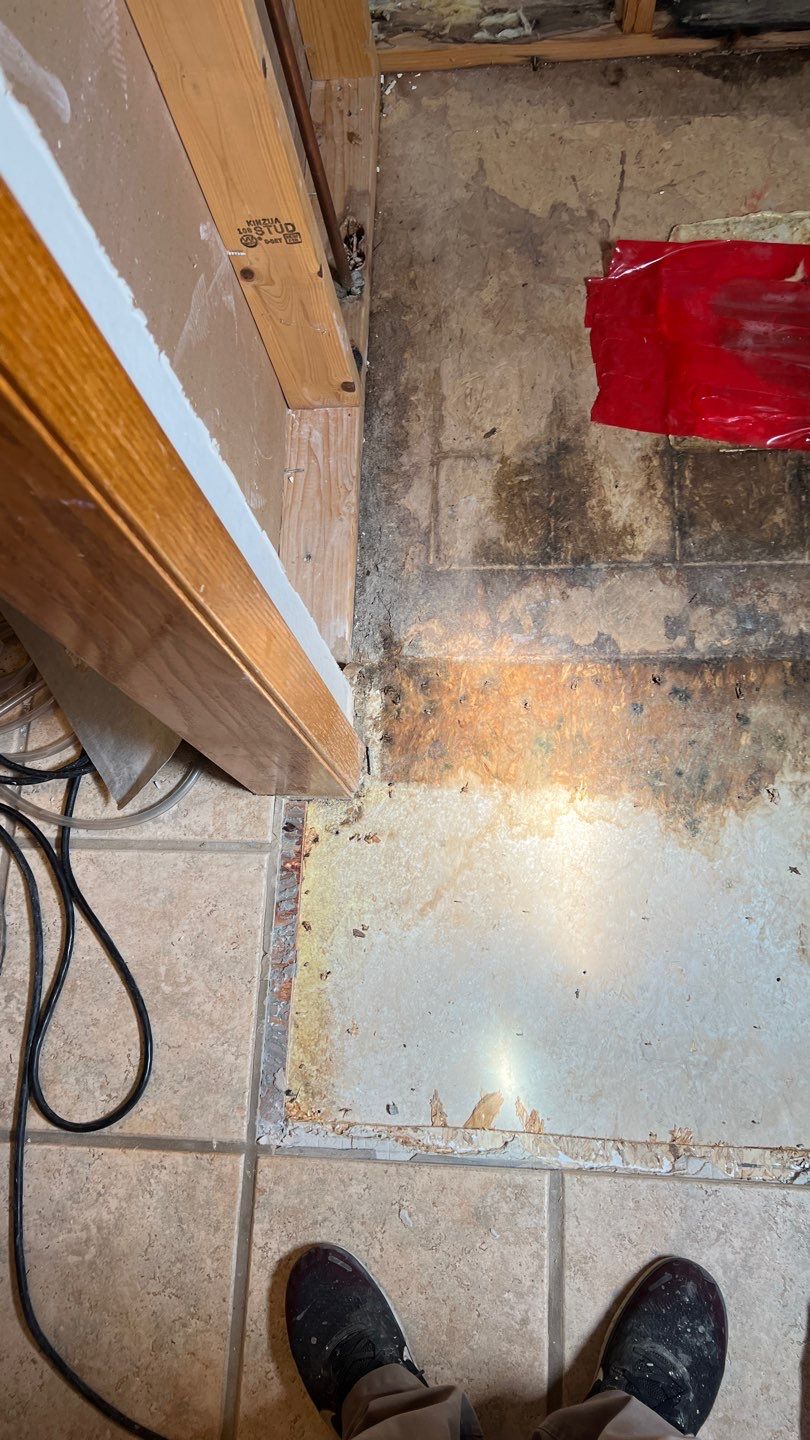 Water Damage and Mold Remediation by Accountable Home Services