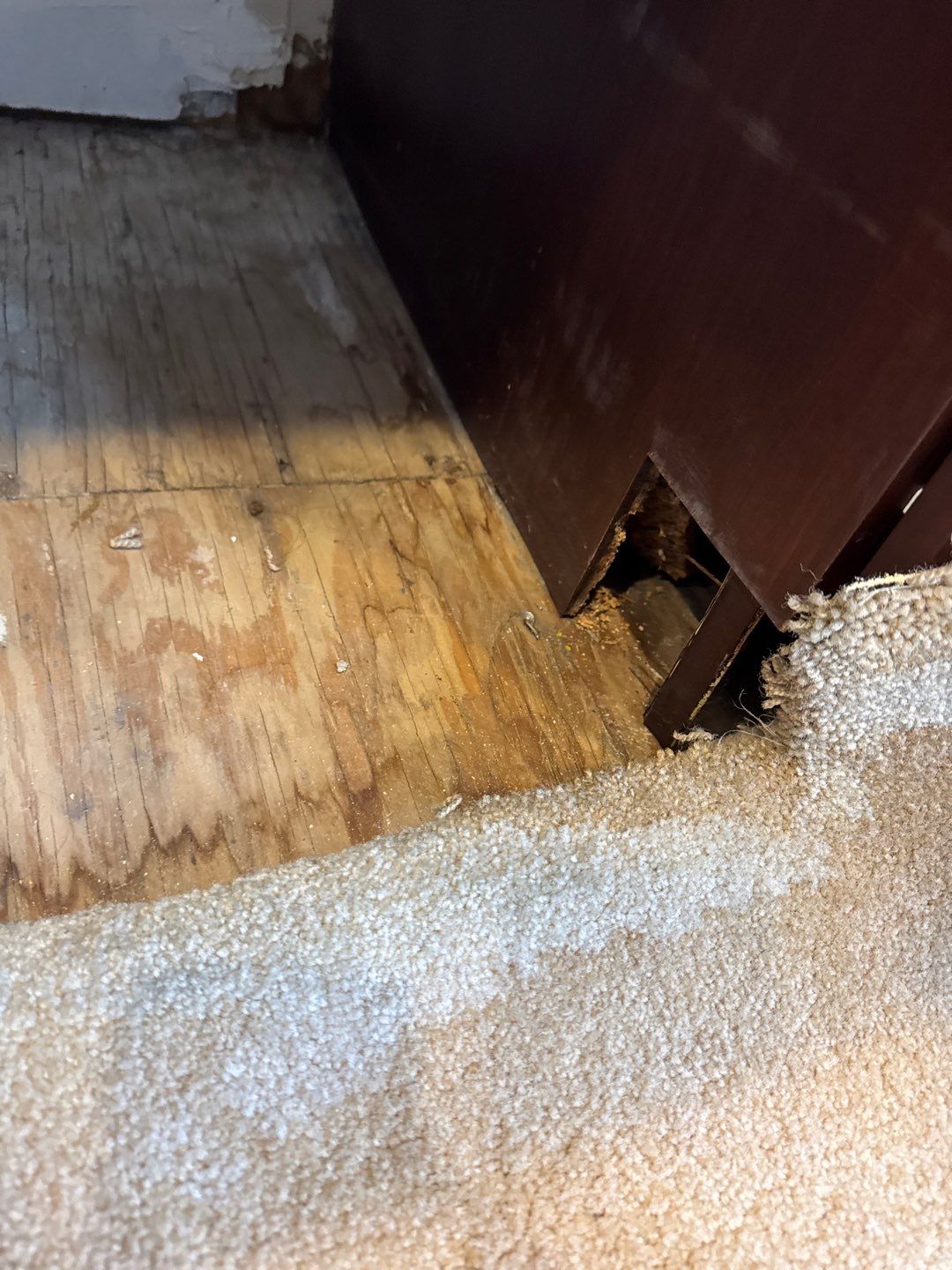 Project in West Bloomfield by EzDry Water Mitigation & Property Restoration