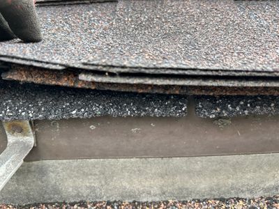 Turtle Shell gutter protection installation in Naperville, IL 60563, photograph 27