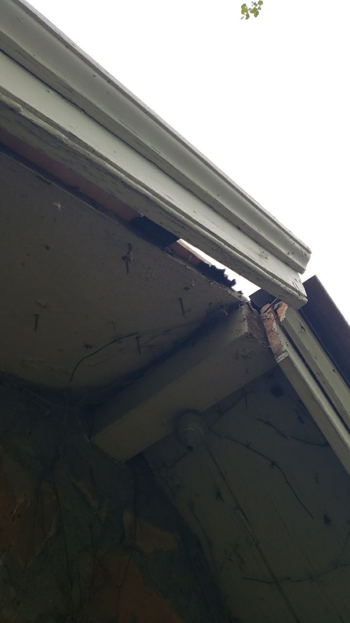 Gainesville Historic Structure: Western Red Cedar #1 Perfection G&R CCA Cedar Shakes by RM Banning, Inc.