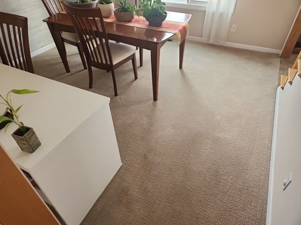 Abby Wenninghoff by FloorCo