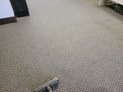 Quarterly Maintenance Carpet Cleaning