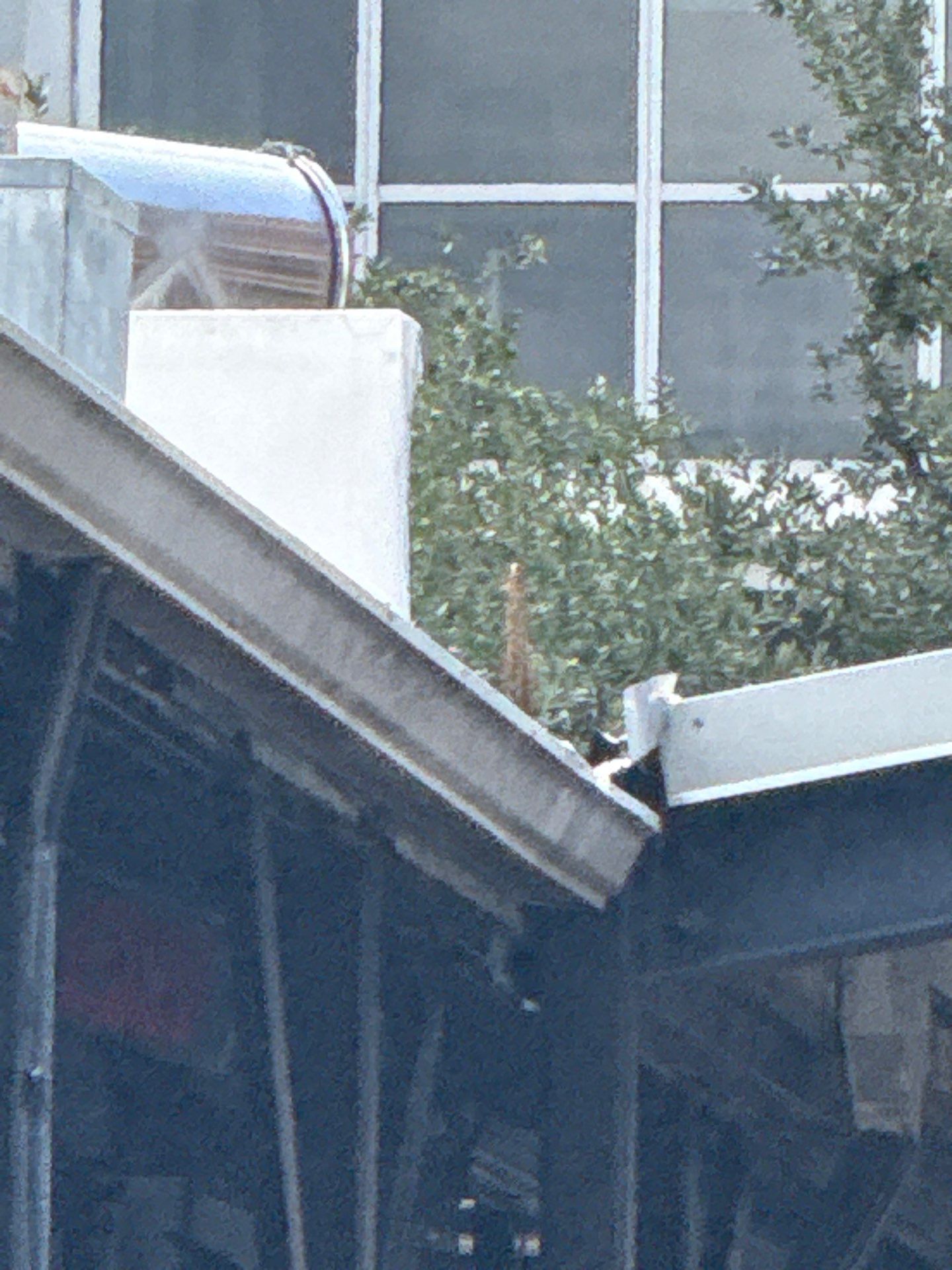 Gutter Clean and Gutter Guard Installation in Saint Petersburg FL by Gutter Professors