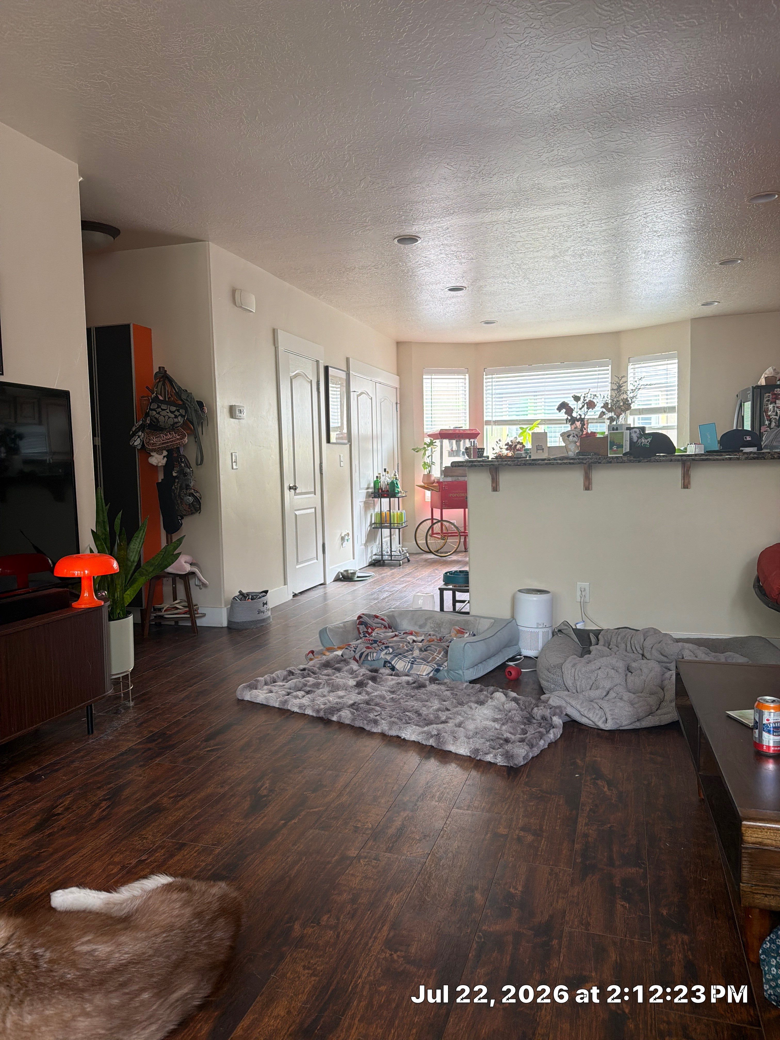 Interior Renovation with Laminate Flooring and Modern Storage in South Salt Lake by CompanyCam Sales Demo