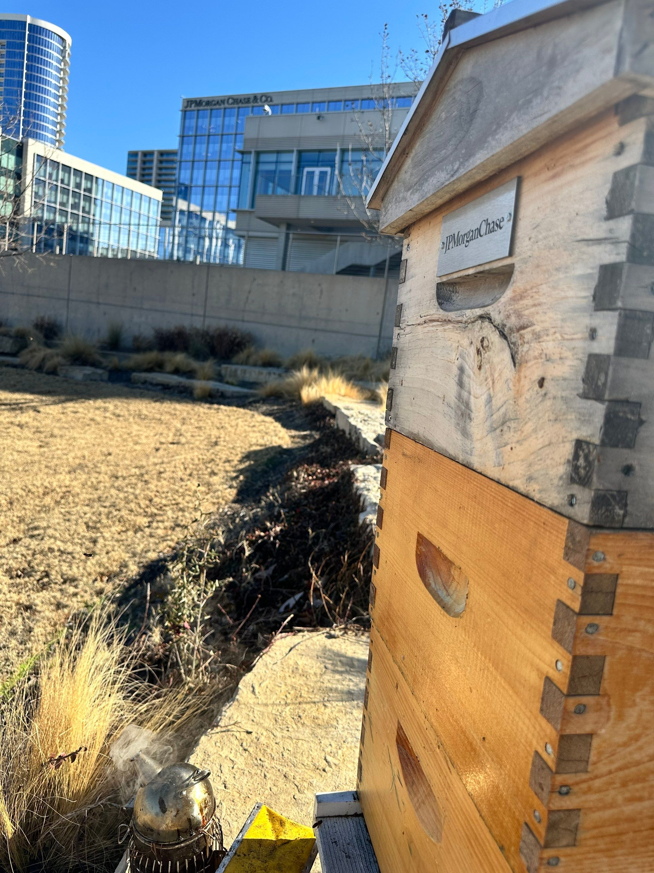Frisco Corporate HQ by Rockwall Honey Bee Company